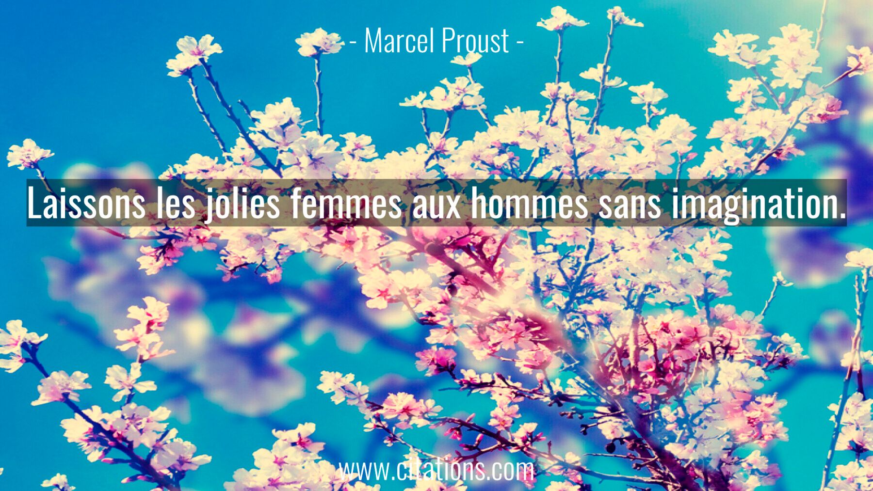 Laissons les jolies femmes aux hommes sans imagination.