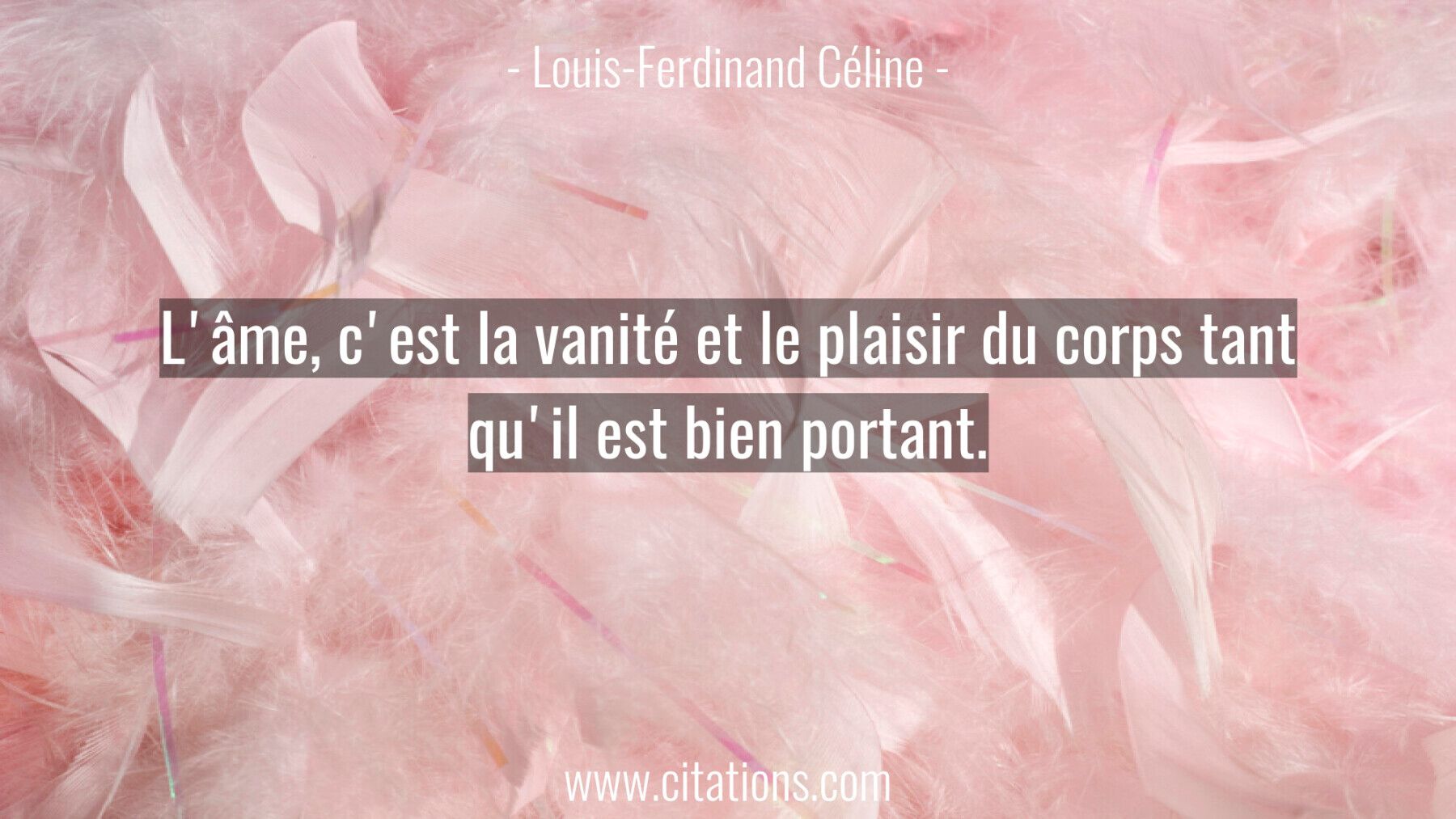 L'âme, c'est la vanité et le plaisir du corps tant qu'il est bien portant.
