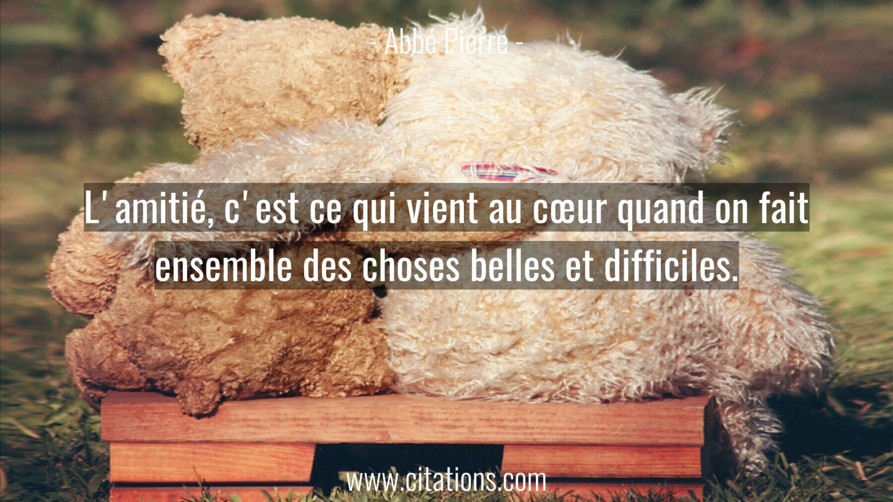 L'amitié, c'est ce qui vient au cœur quand on fait
