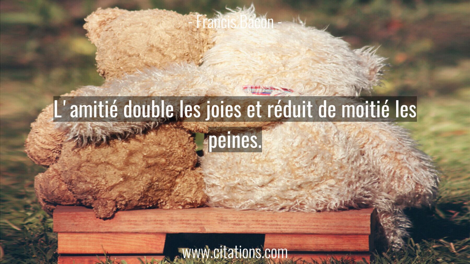 L'amitié double les joies et réduit de moitié les peines.