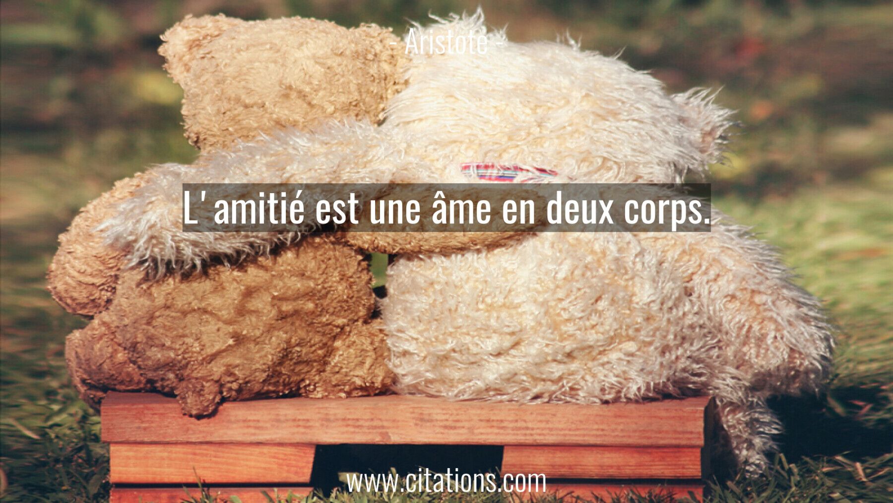 L'amitié est une âme en deux corps.