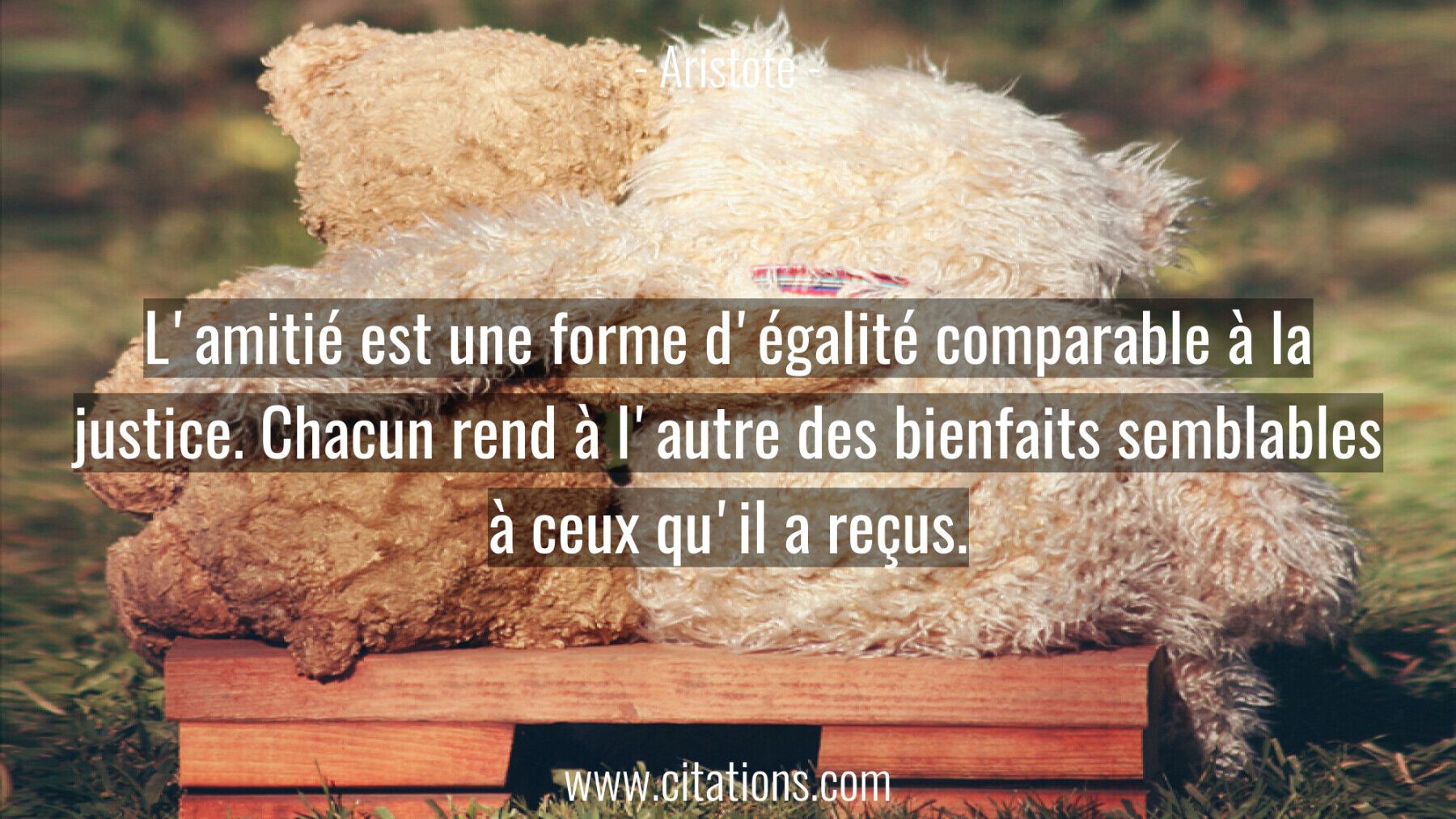 L'amitié est une forme d'égalité comparable à la justice. Chacun rend à l'autre des bienfaits semblables à ceux qu'il a...