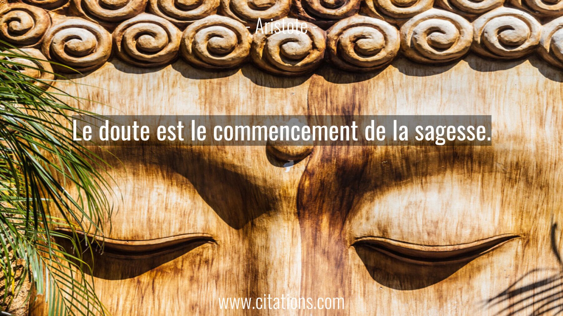 Le doute est le commencement de la sagesse.