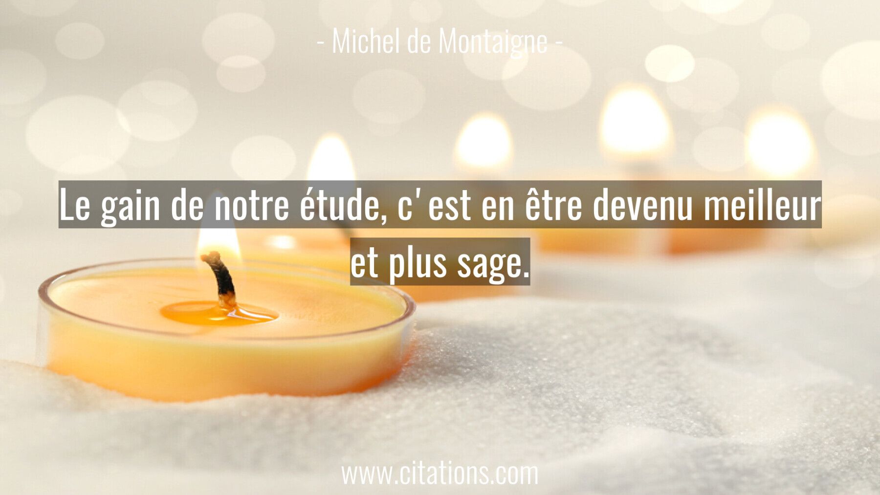 Le gain de notre étude, c'est en être devenu meilleur et plus sage.