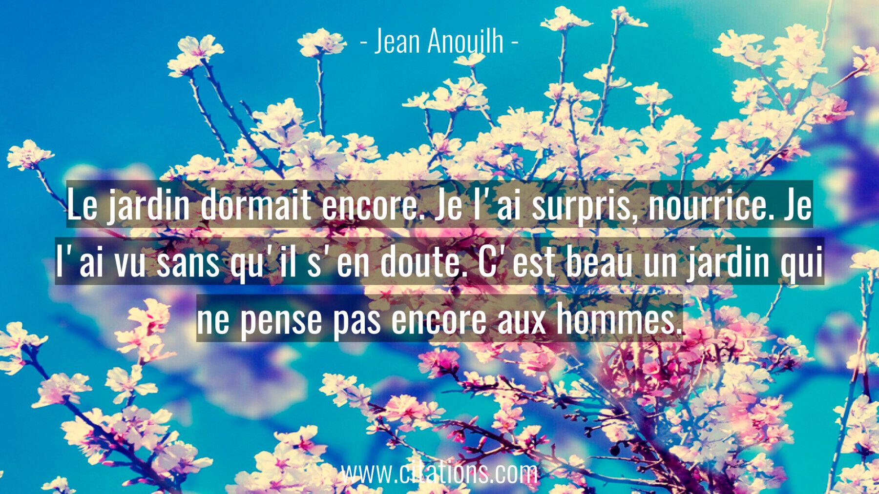 Le jardin dormait encore. Je l'ai surpris, nourrice. Je l'ai vu sans qu'il s'en doute. C'est beau un jardin qui ne pense...