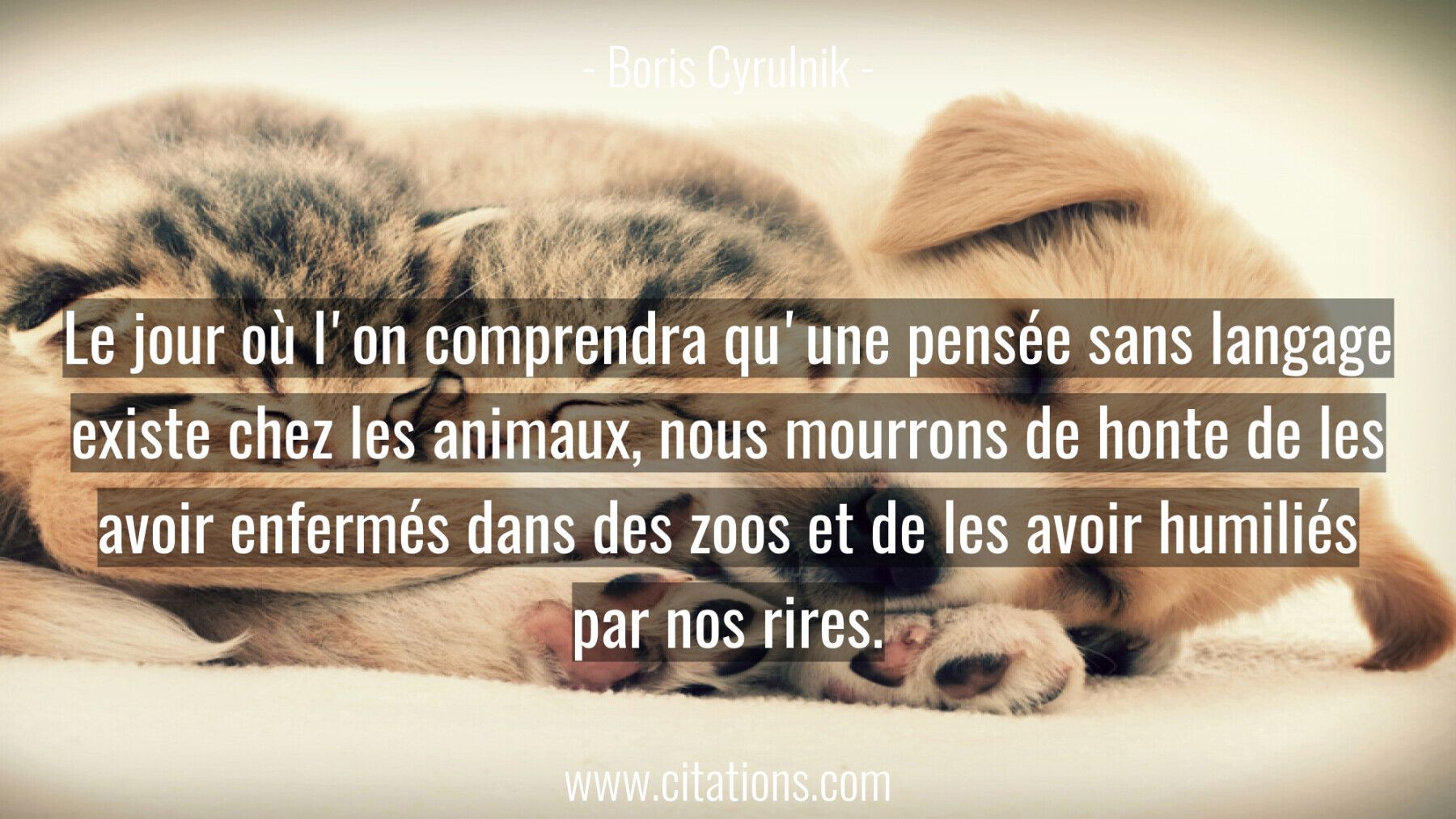 Le jour où l'on comprendra qu'une pensée sans langage existe