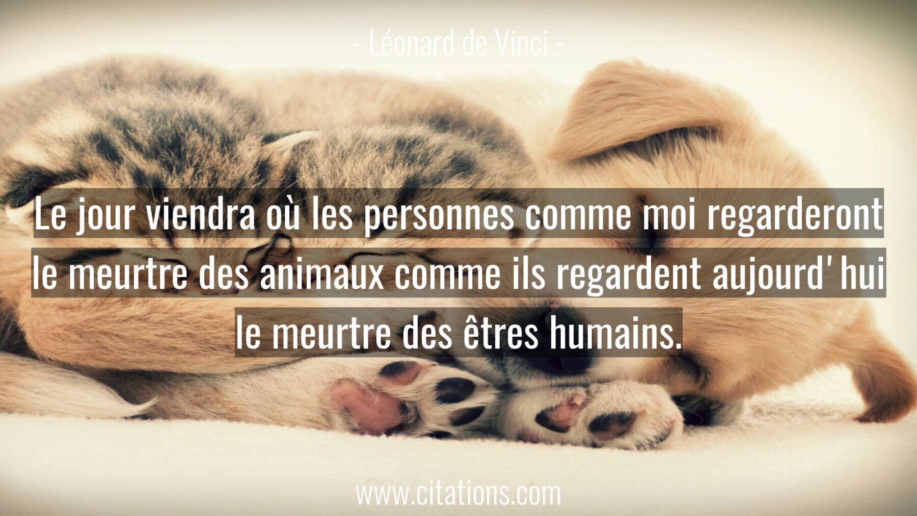 Le jour viendra où les personnes comme moi regarderont le