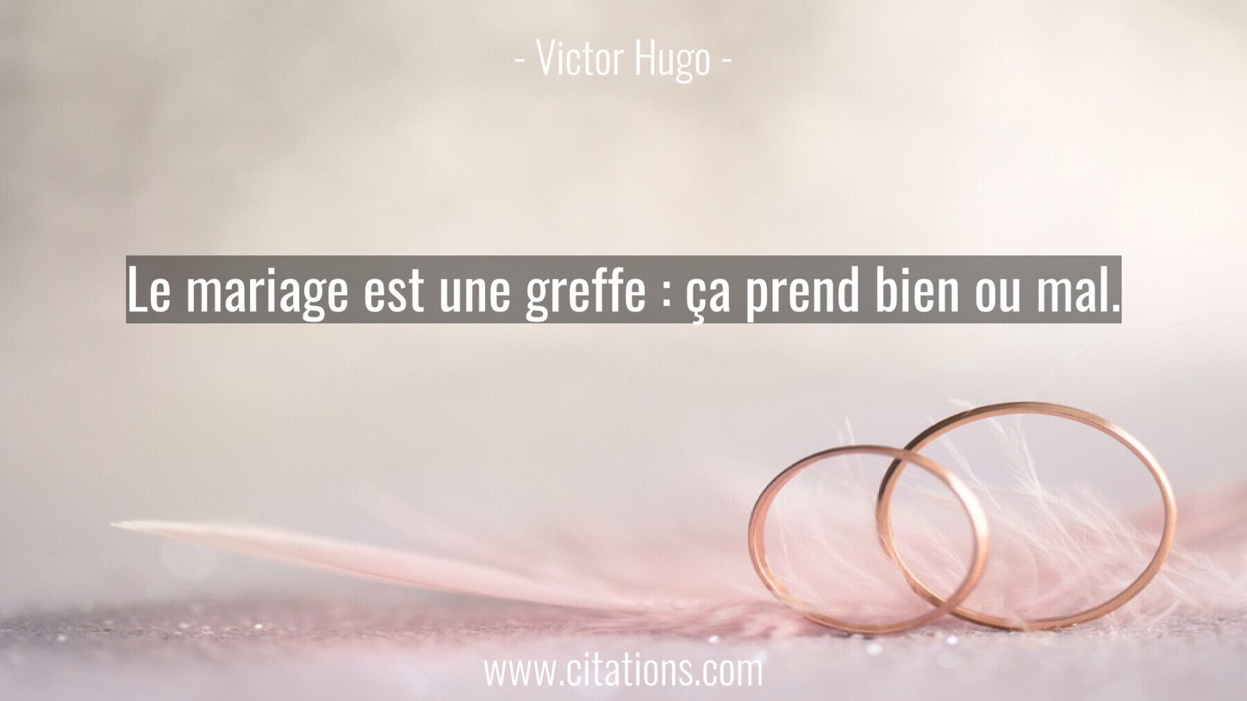 Le mariage est une greffe : ça prend bien ou