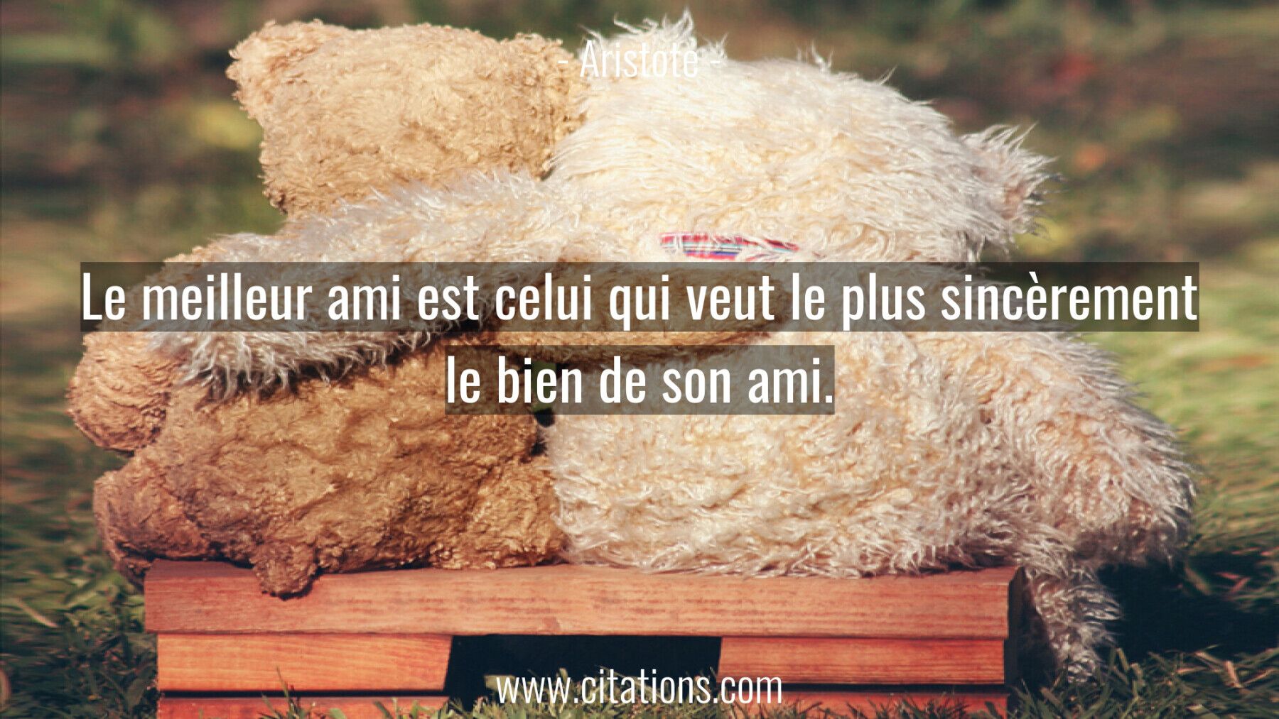 Le meilleur ami est celui qui veut le plus sincèrement