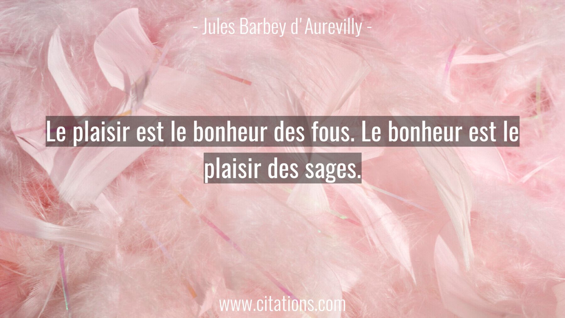 Le plaisir est le bonheur des fous. Le bonheur est