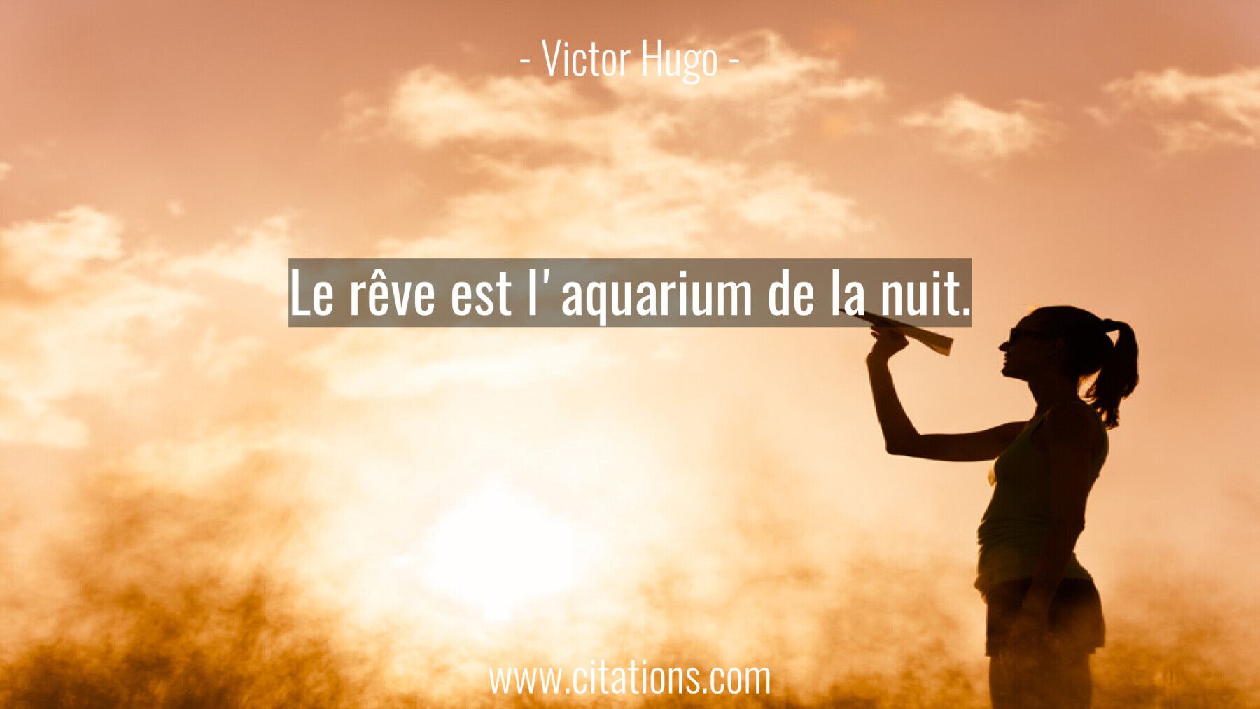Le rêve est l'aquarium de la nuit.
