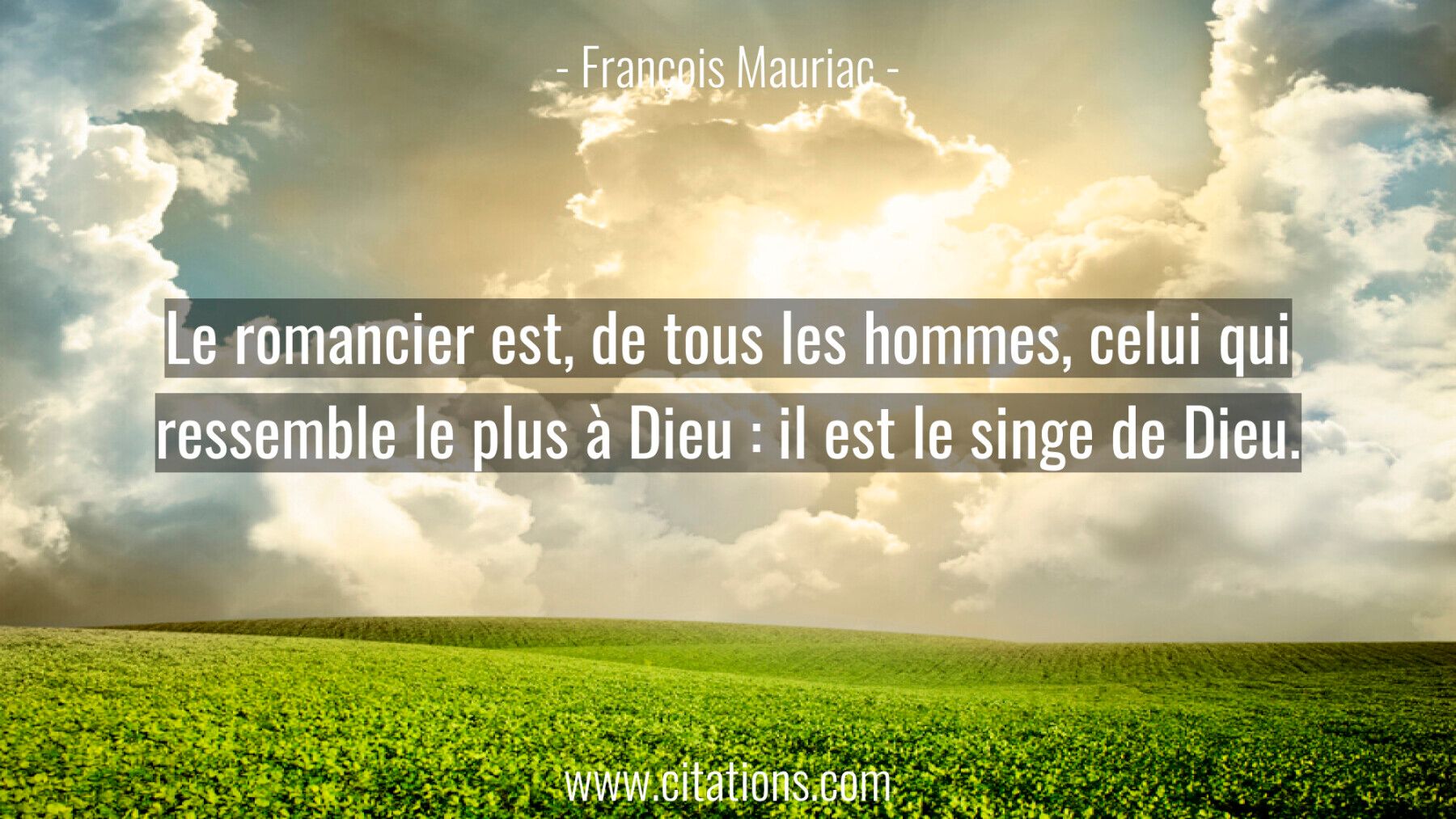 Le romancier est, de tous les hommes, celui qui ressemble le plus à Dieu : il est le singe de Dieu.