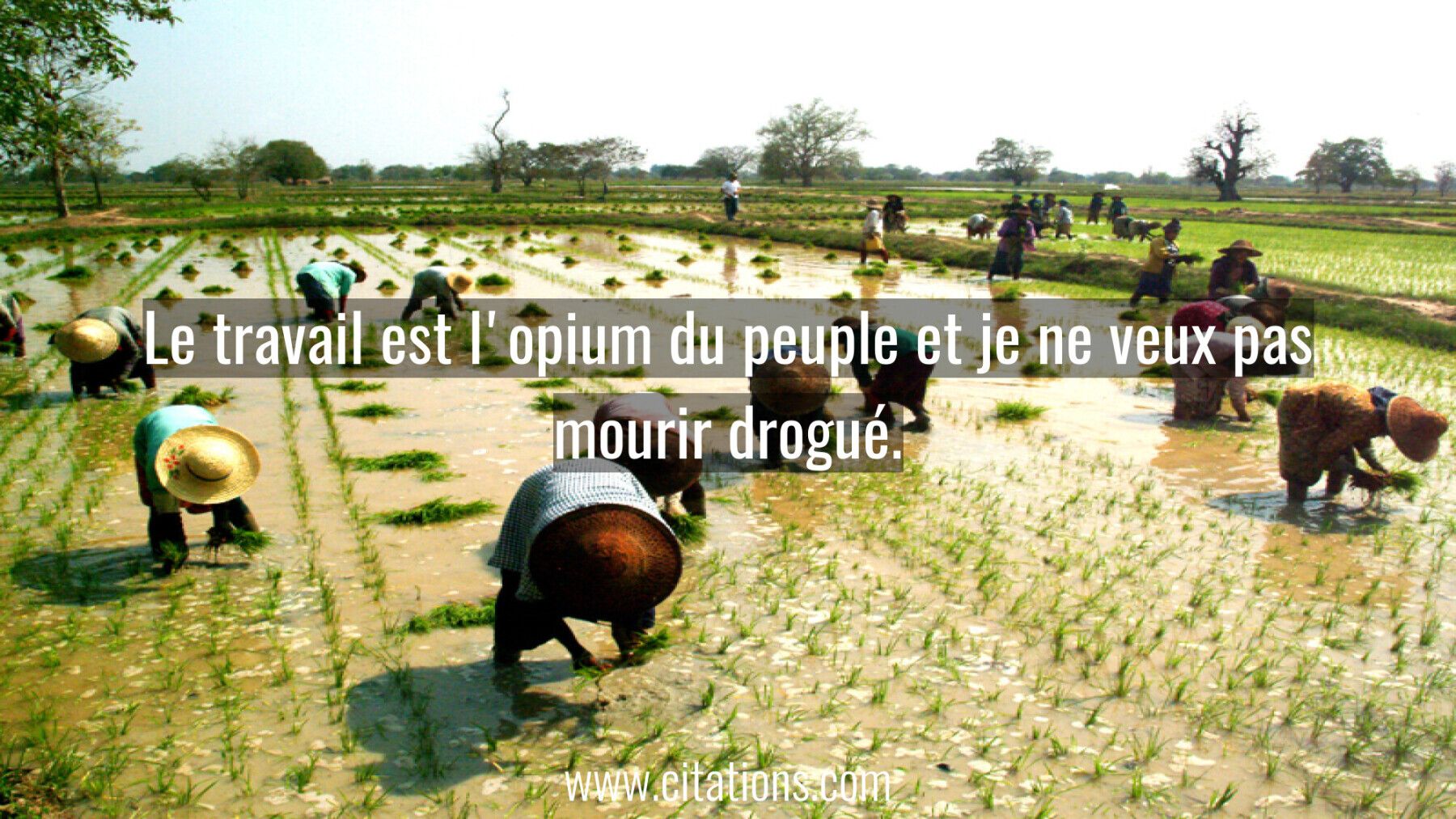 Le travail est l'opium du peuple et je ne veux
