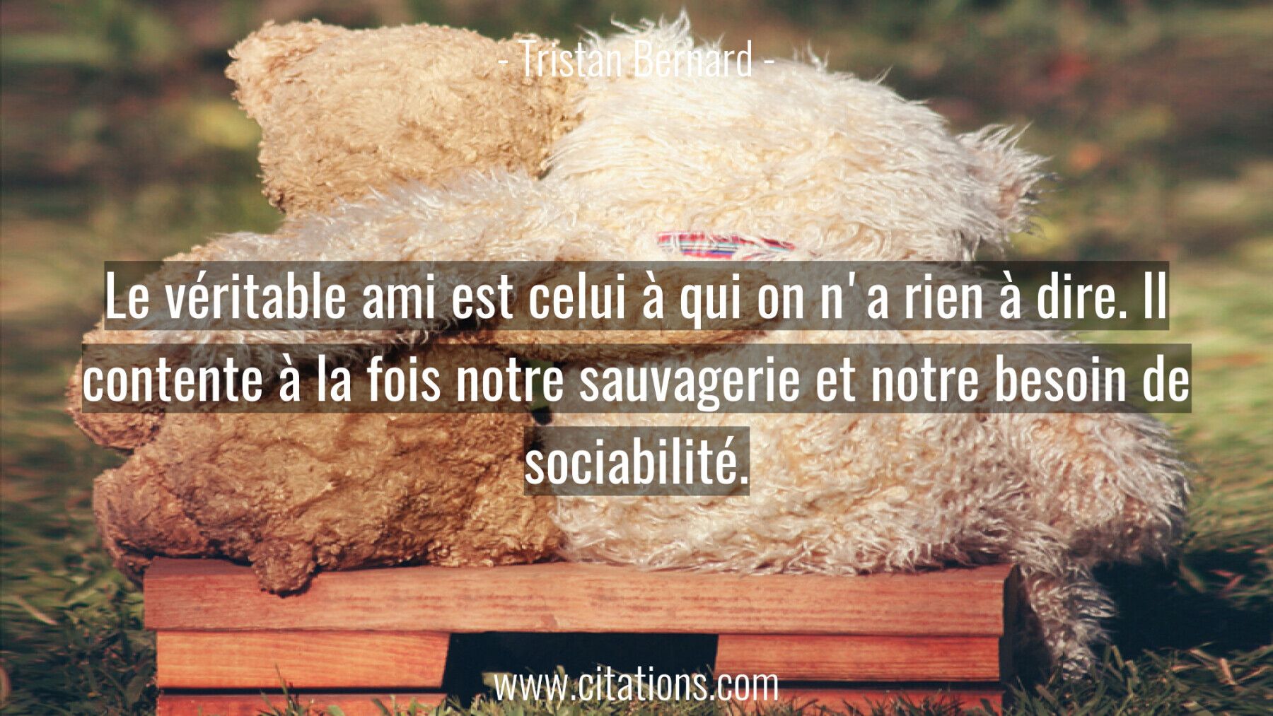 Le véritable ami est celui à qui on n'a rien à dire. Il contente à la fois notre sauvagerie et notre besoin de sociabili...