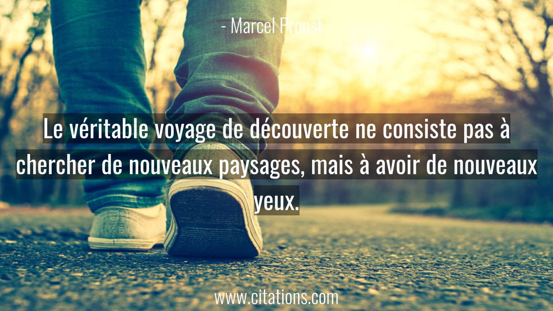 Le véritable voyage de découverte ne consiste pas à chercher