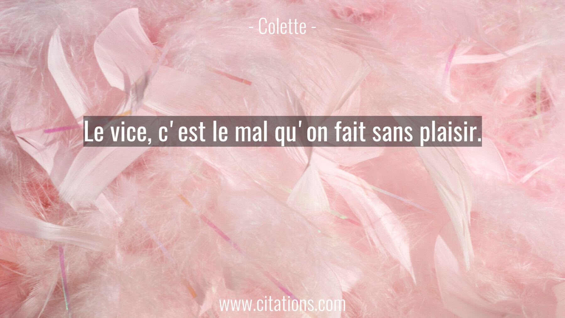 Le vice, c'est le mal qu'on fait sans plaisir.