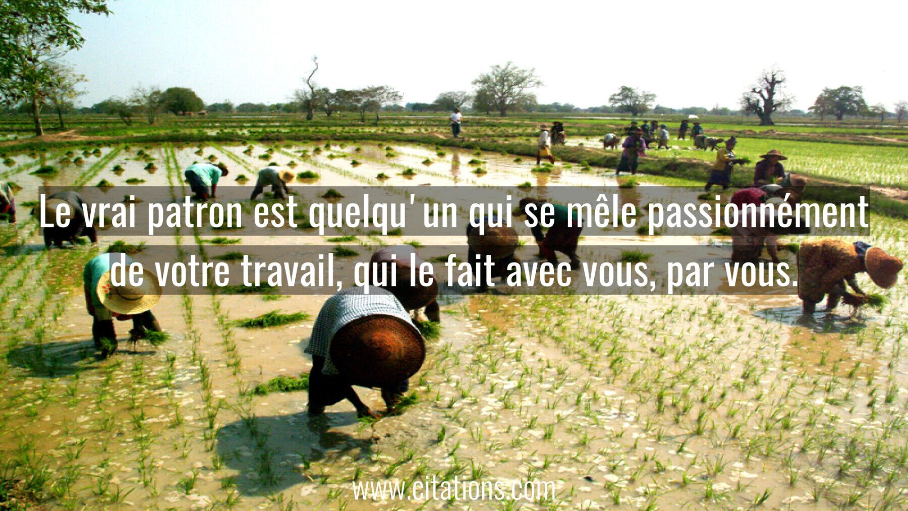 Le vrai patron est quelqu'un qui se mêle passionnément de