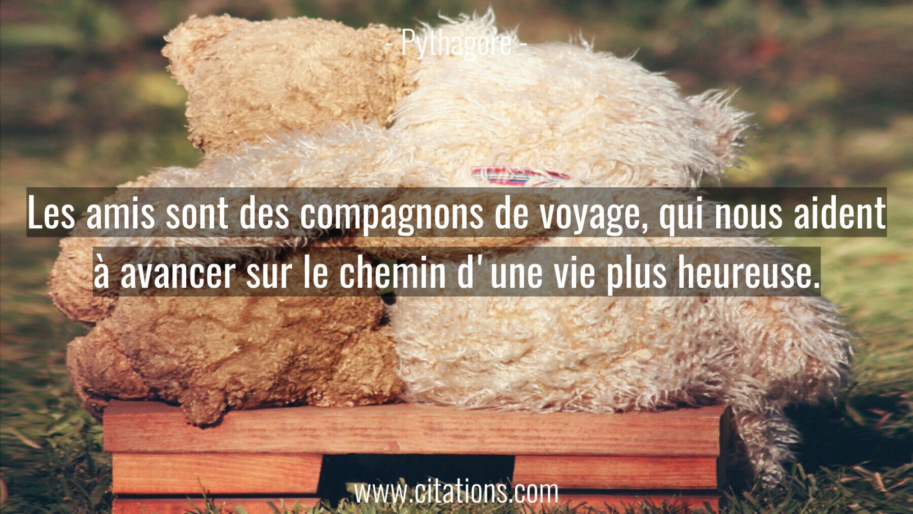 Les amis sont des compagnons de voyage, qui nous aident
