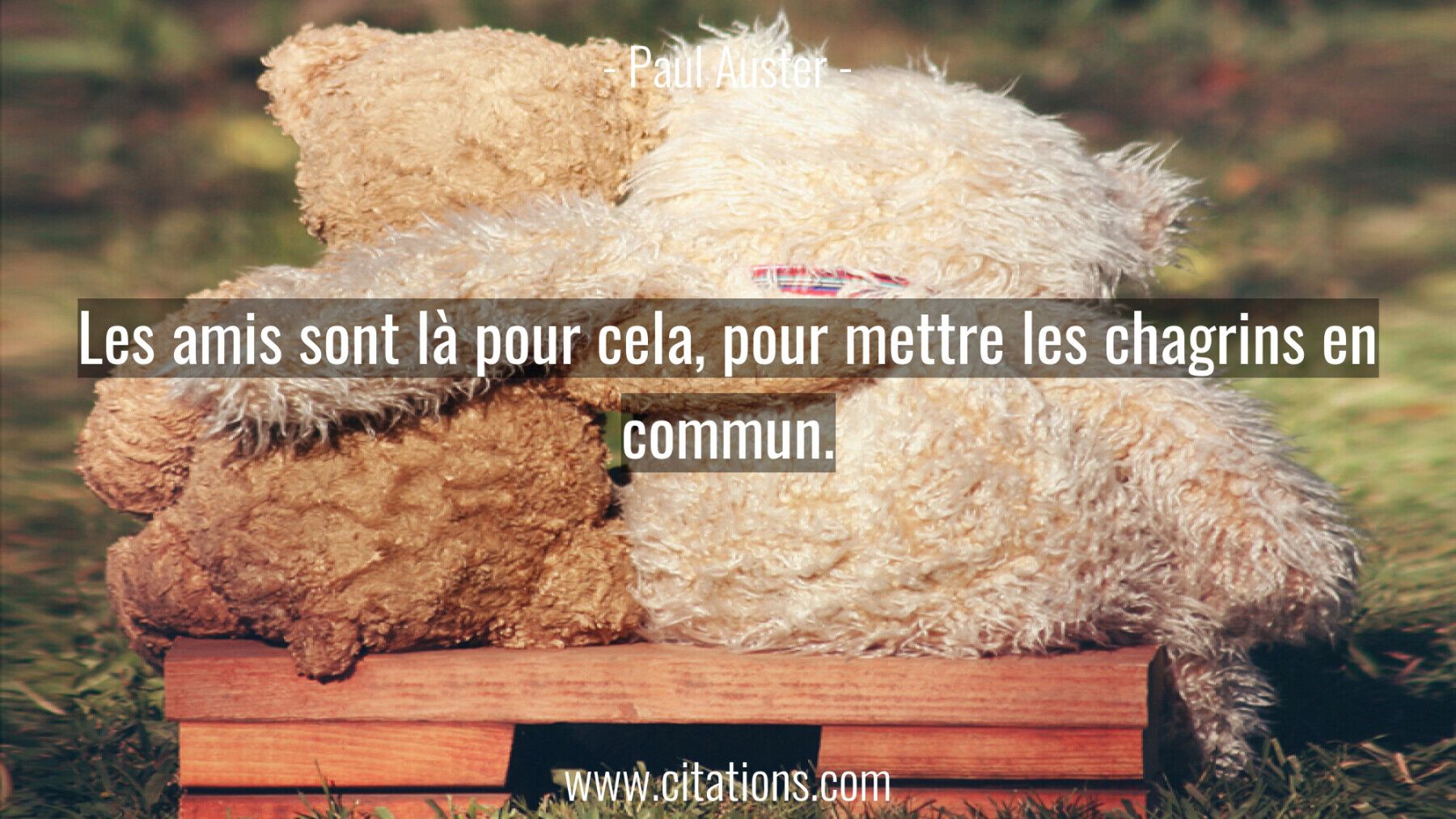 Les amis sont là pour cela, pour mettre les chagrins en commun.