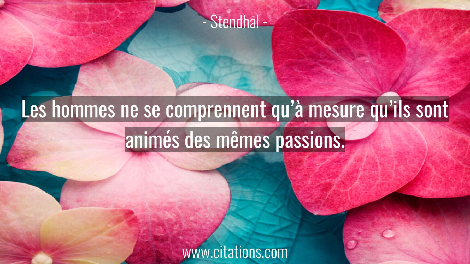 Les hommes ne se comprennent qu'à mesure qu'ils sont animés