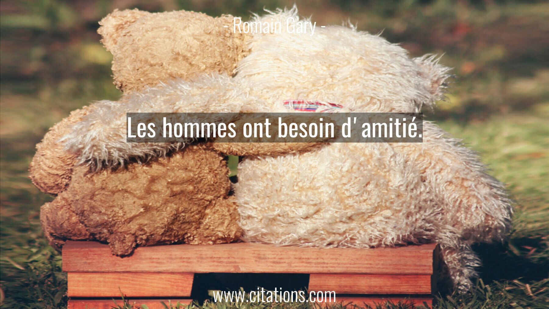Les hommes ont besoin d'amitié.
