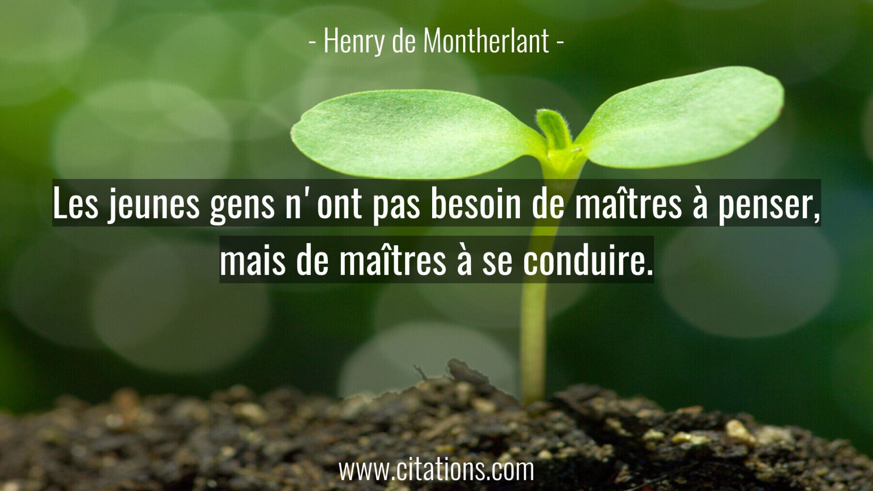 Les jeunes gens n'ont pas besoin de maîtres à penser, mais de maîtres à se conduire.