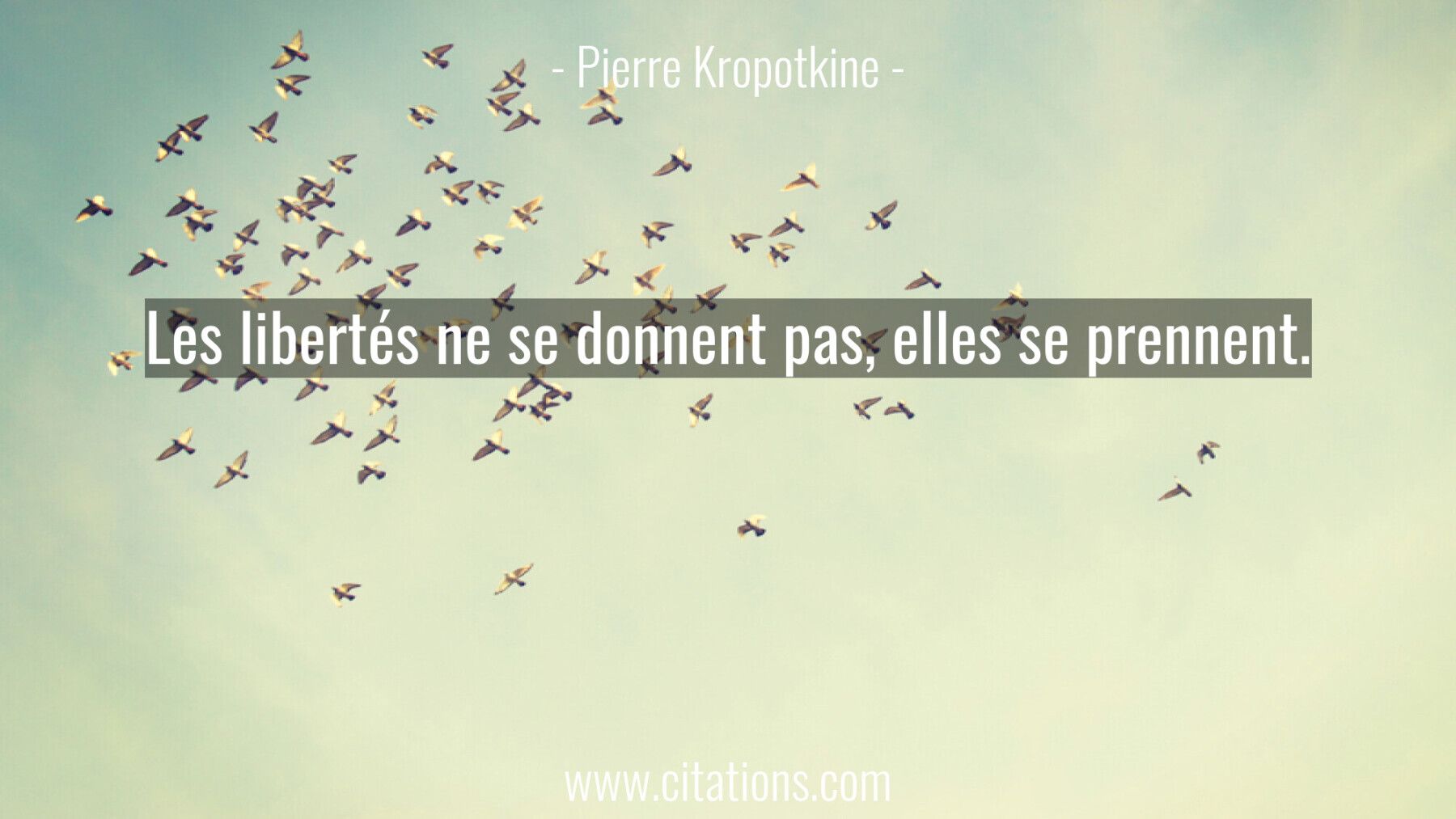 Les libertés ne se donnent pas, elles se prennent.