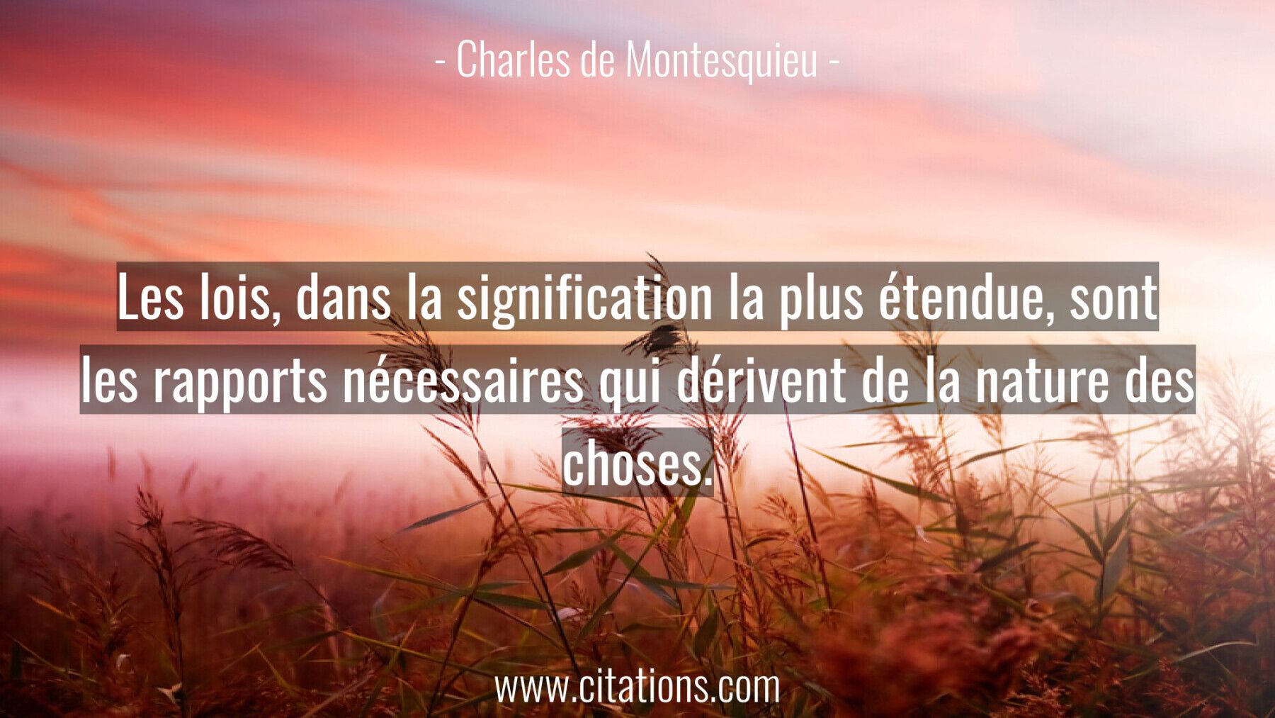 Les lois, dans la signification la plus étendue, sont les rapports nécessaires qui dérivent de la nature des choses.