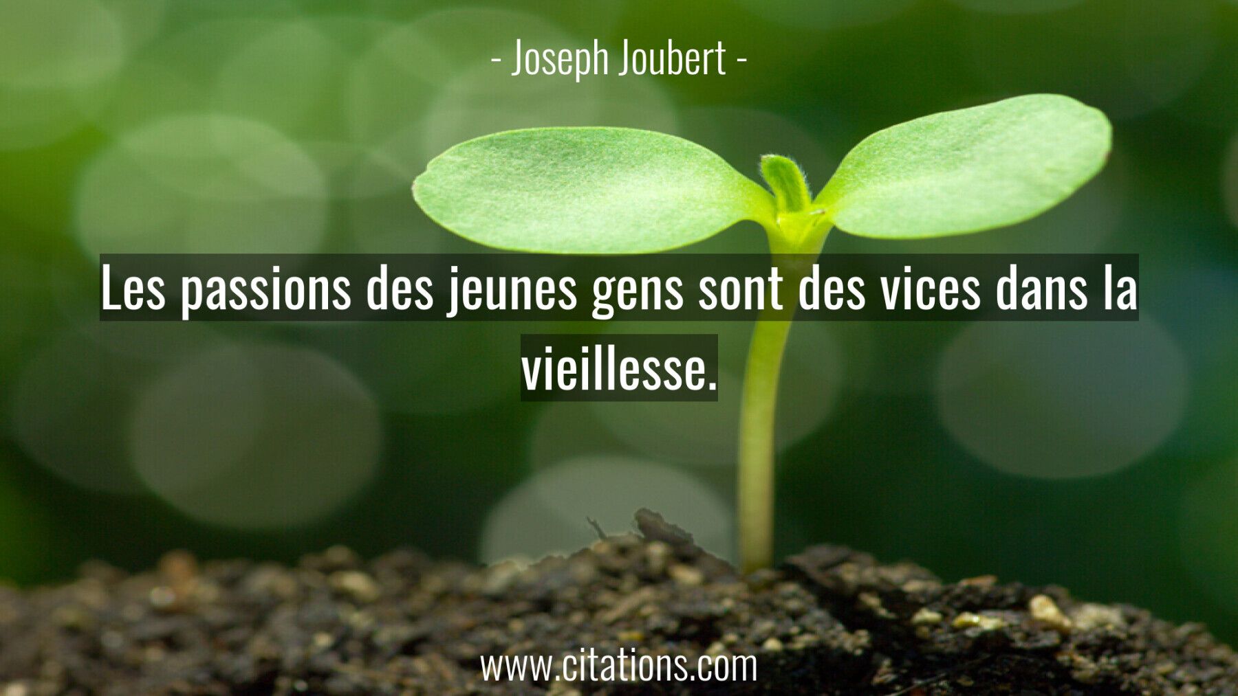 Les passions des jeunes gens sont des vices dans la vieillesse.