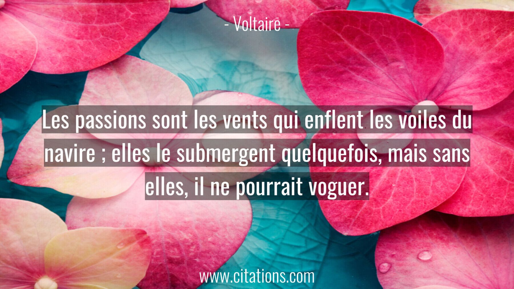 Les passions sont les vents qui enflent les voiles du