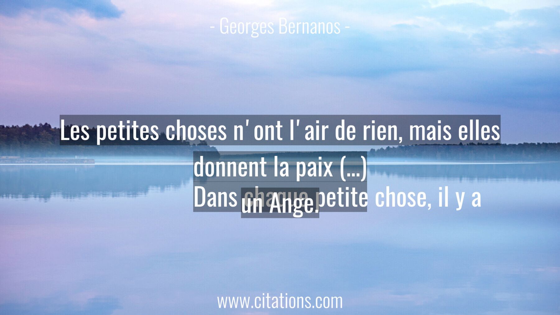 Les petites choses n'ont l'air de rien, mais elles donnent la paix (…) Dans chaque petite chose, il y a un Ange.
