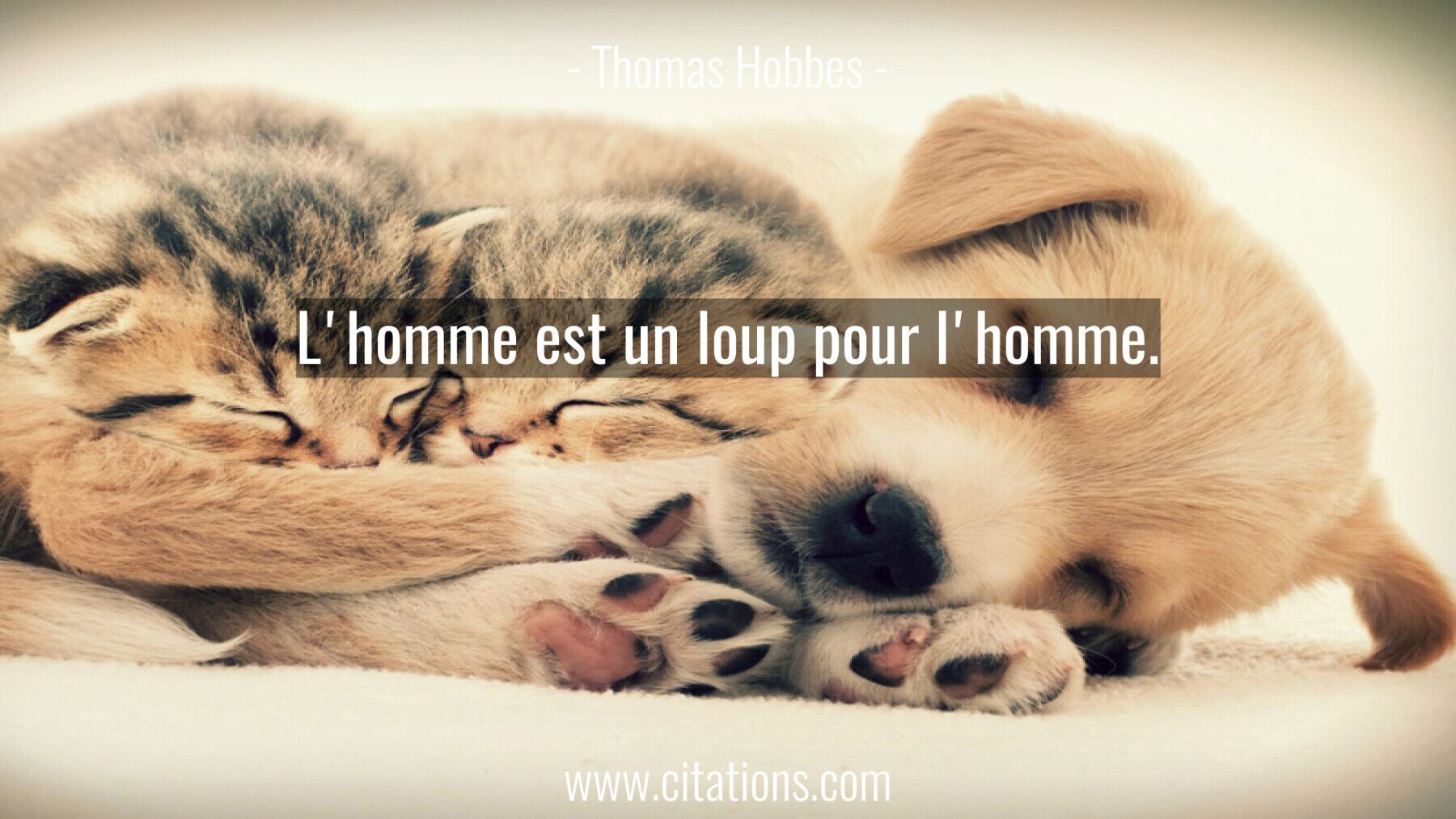L'homme est un loup pour l'homme.