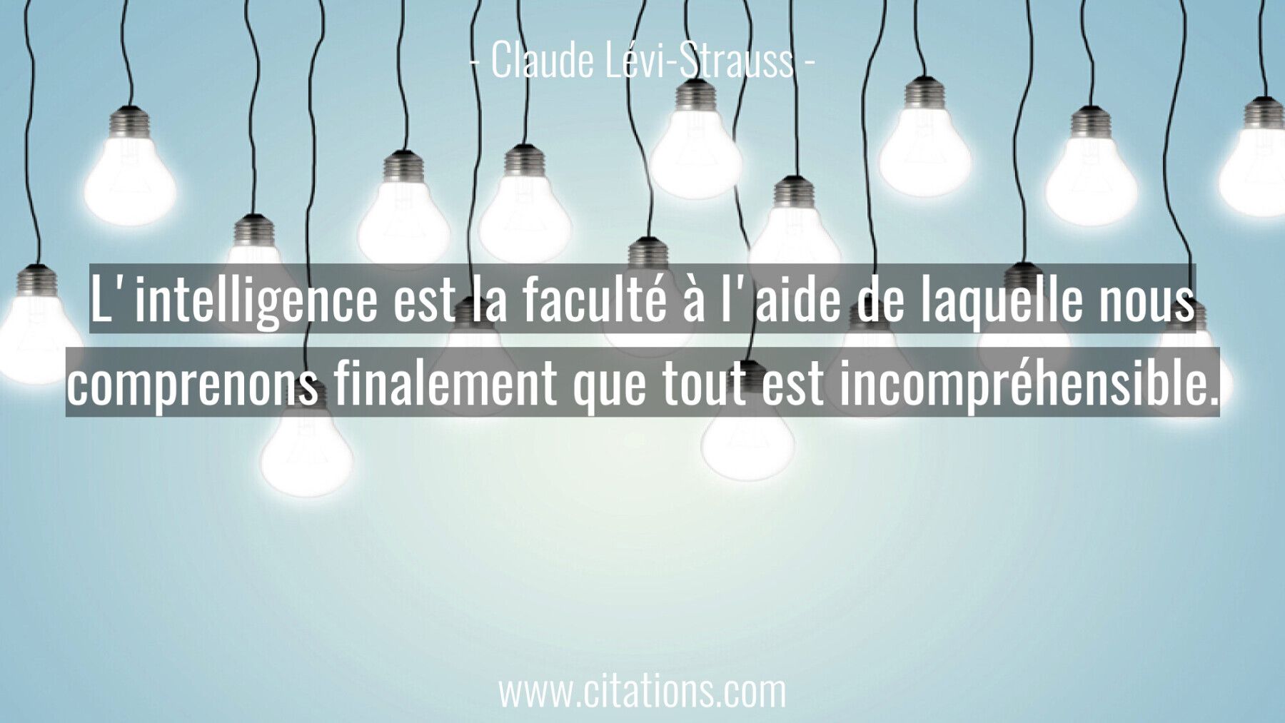 L'intelligence est la faculté à l'aide de laquelle nous comprenons