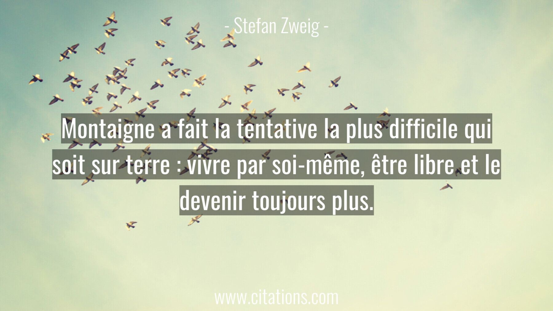 Montaigne a fait la tentative la plus difficile qui soit sur terre : vivre par soi-même, être libre et le devenir toujou...