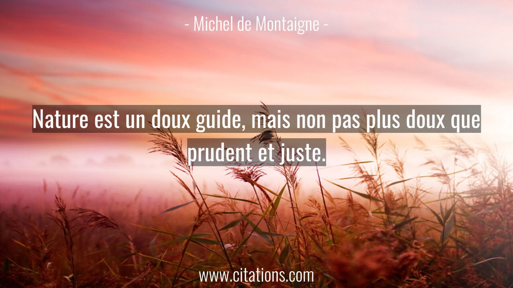 Nature est un doux guide, mais non pas plus doux que prudent et juste.