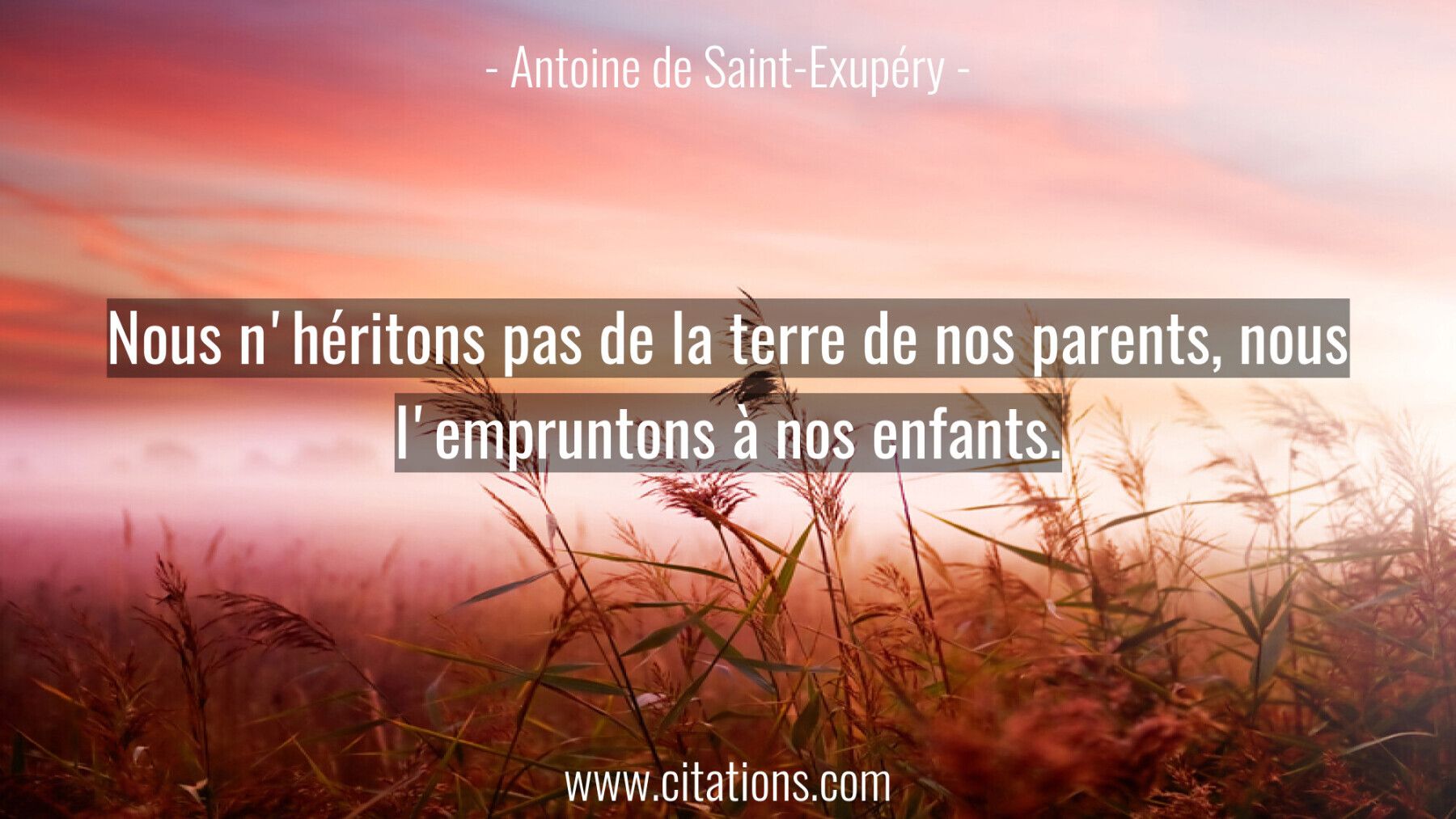 Nous n'héritons pas de la terre de nos parents, nous