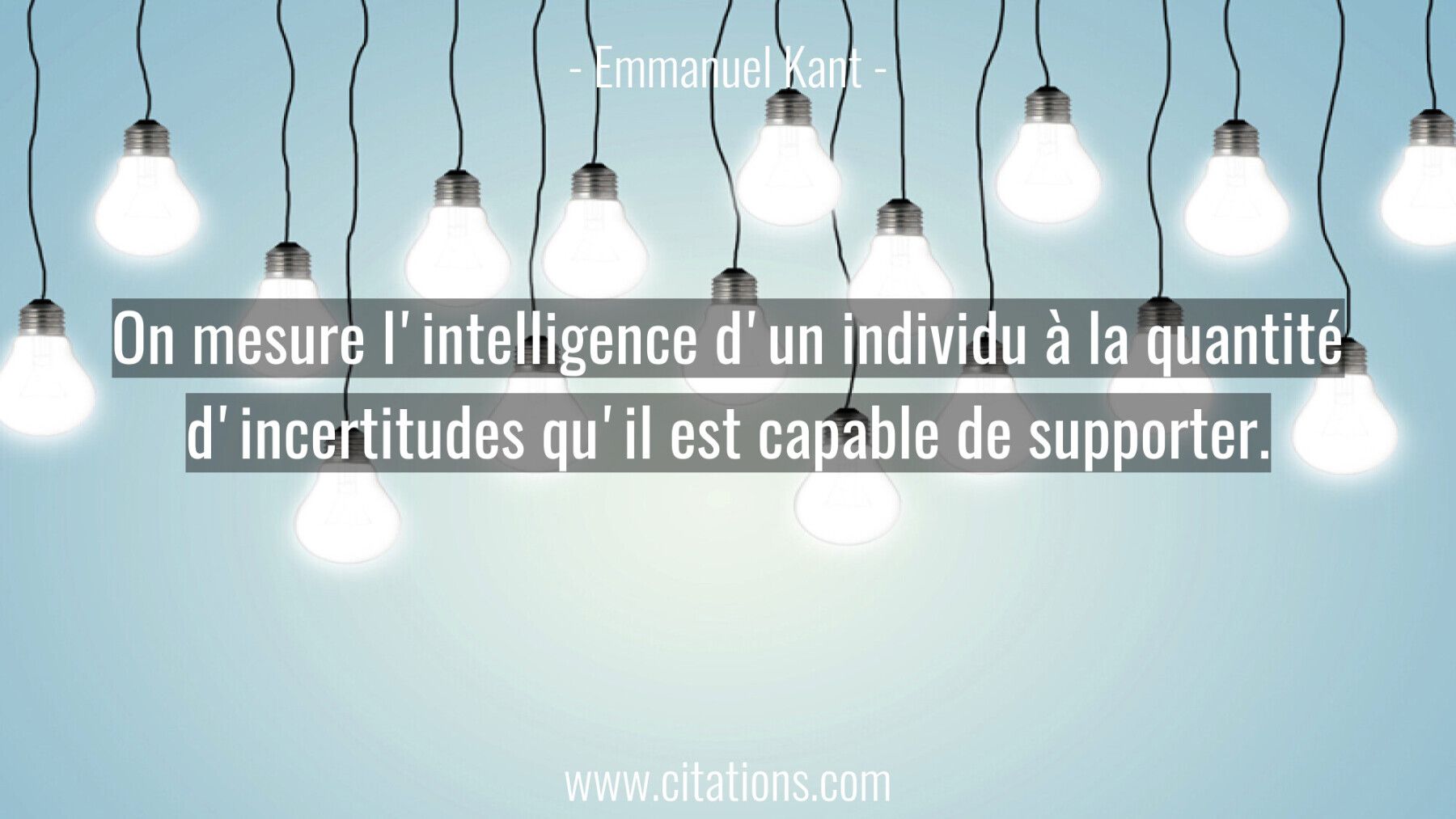 On mesure l'intelligence d'un individu à la quantité d'incertitudes qu'il