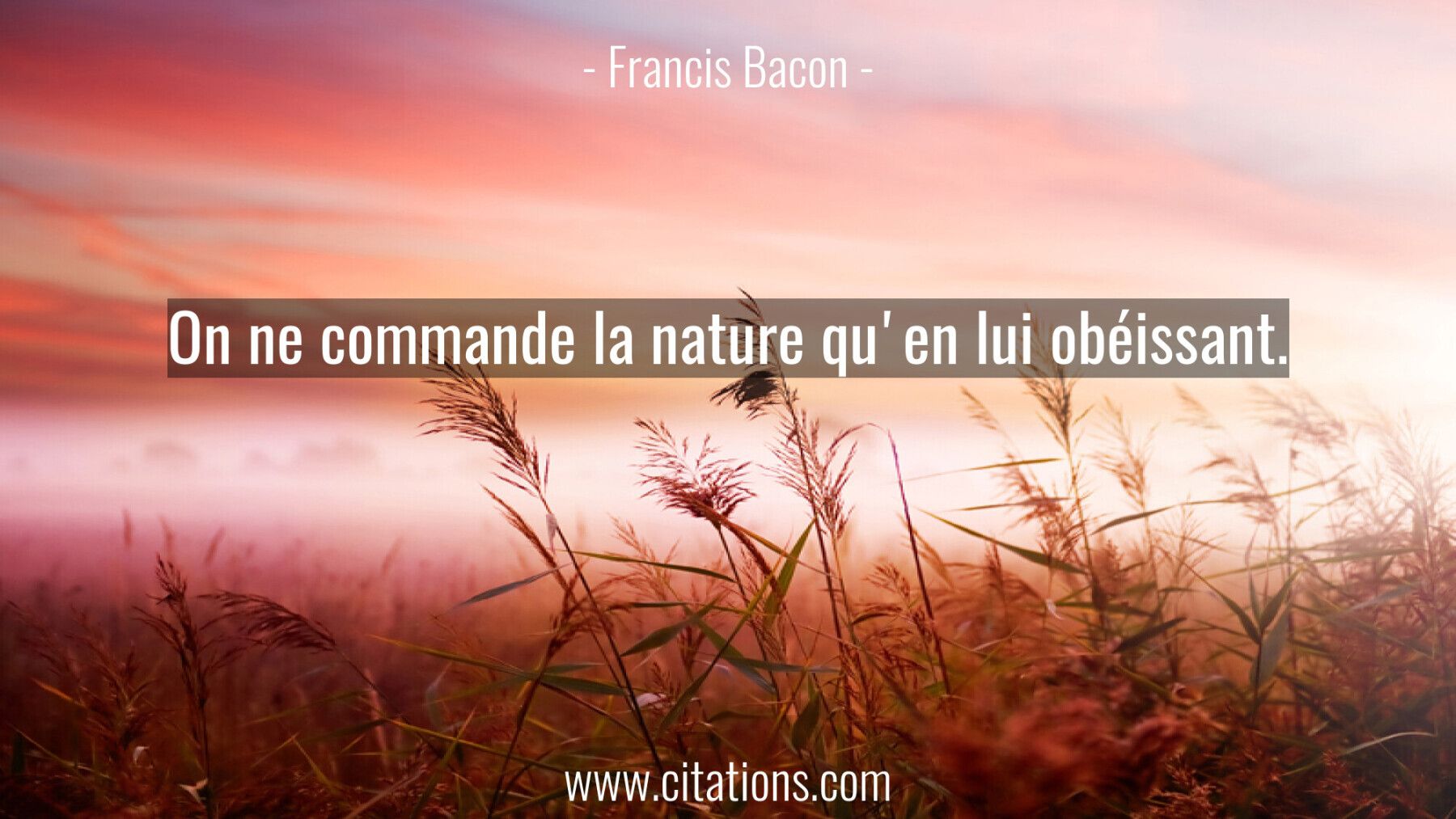 On ne commande la nature qu'en lui obéissant.