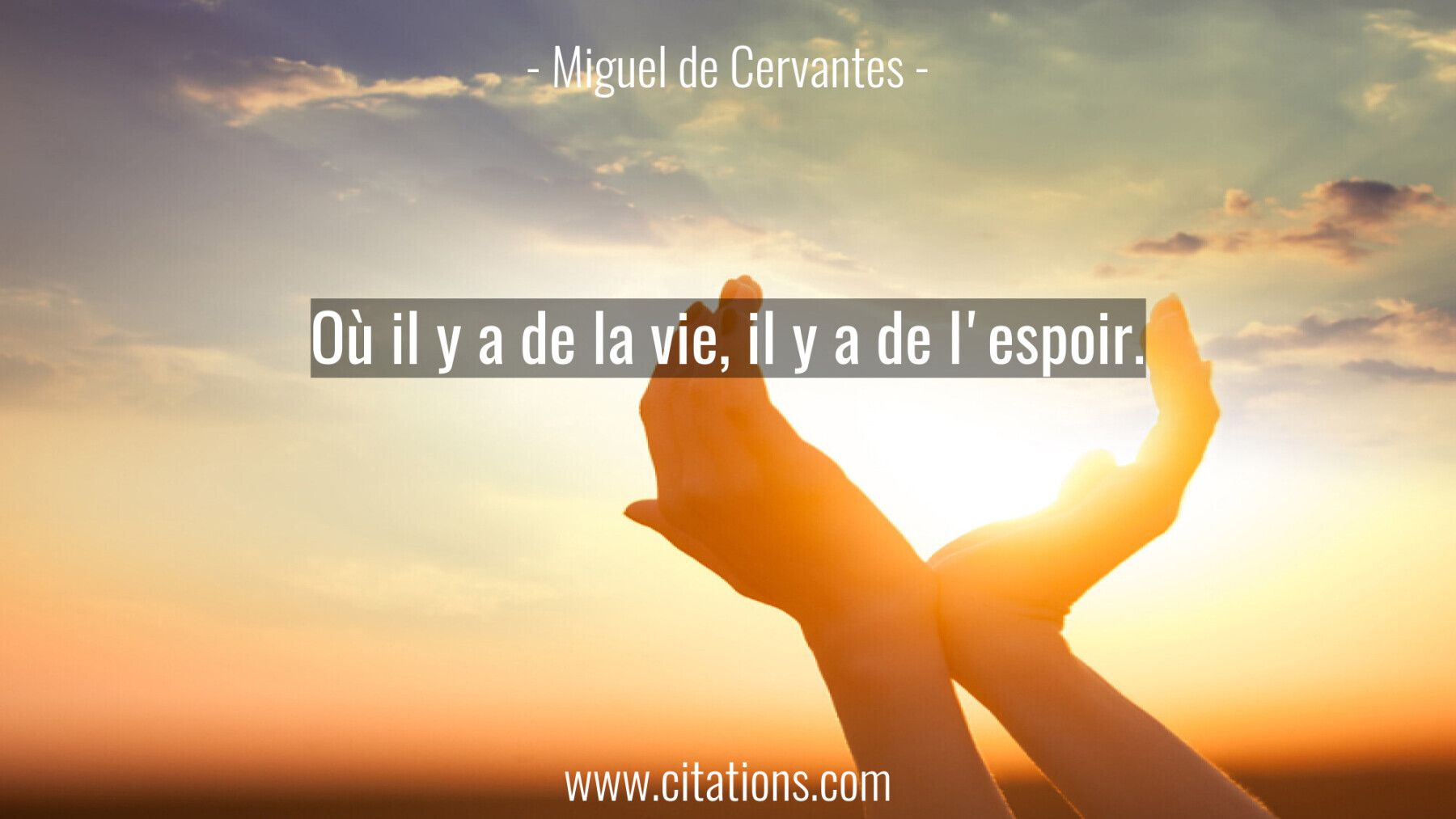 Où il y a de la vie, il y a