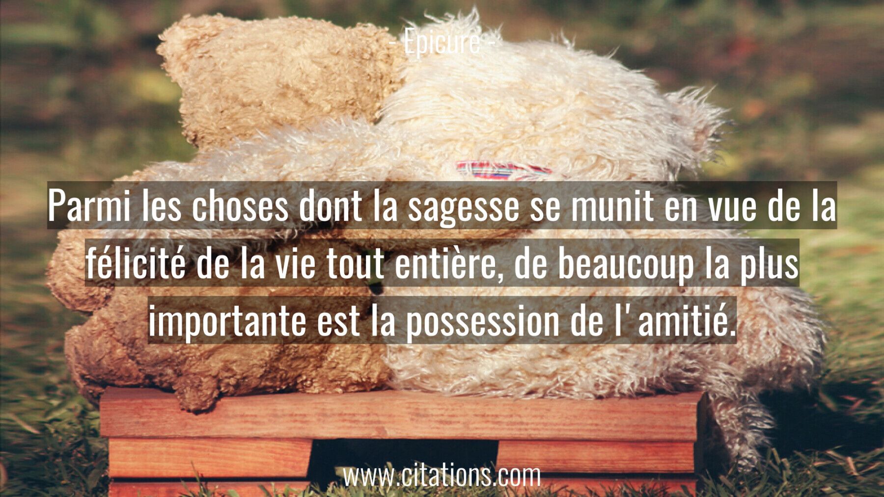 Parmi les choses dont la sagesse se munit en vue