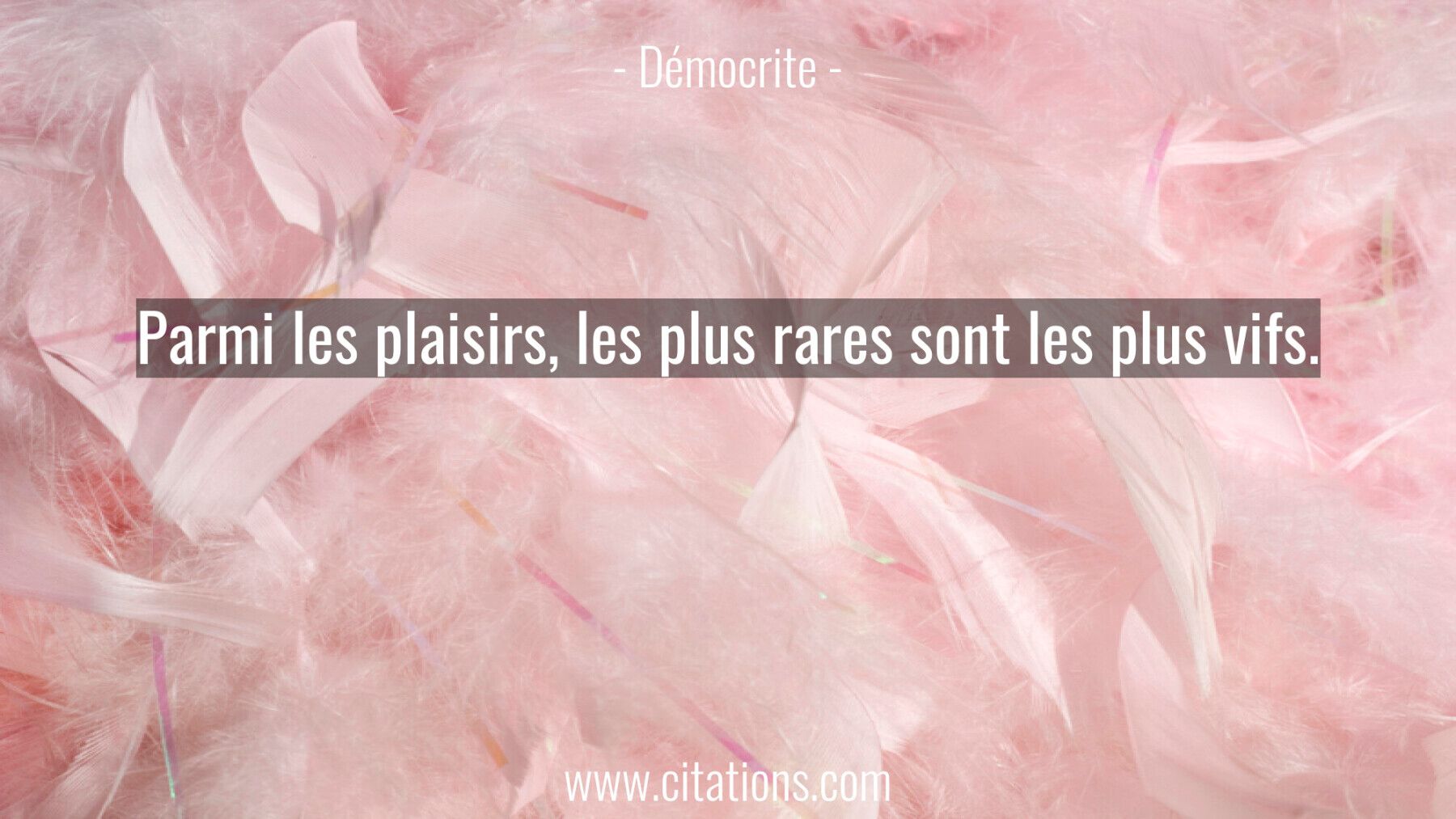 Parmi les plaisirs, les plus rares sont les plus vifs.