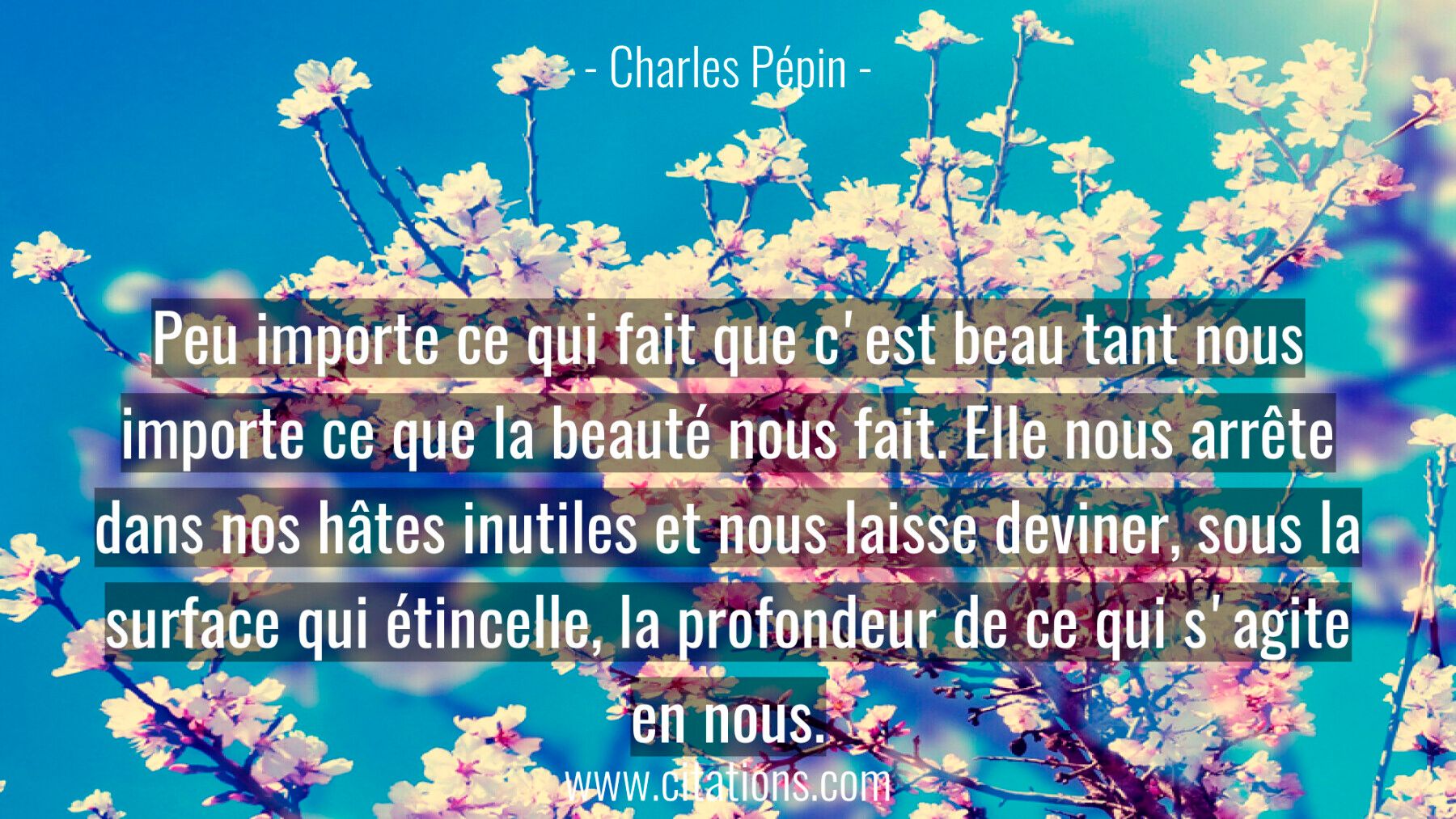Peu importe ce qui fait que c'est beau tant nous