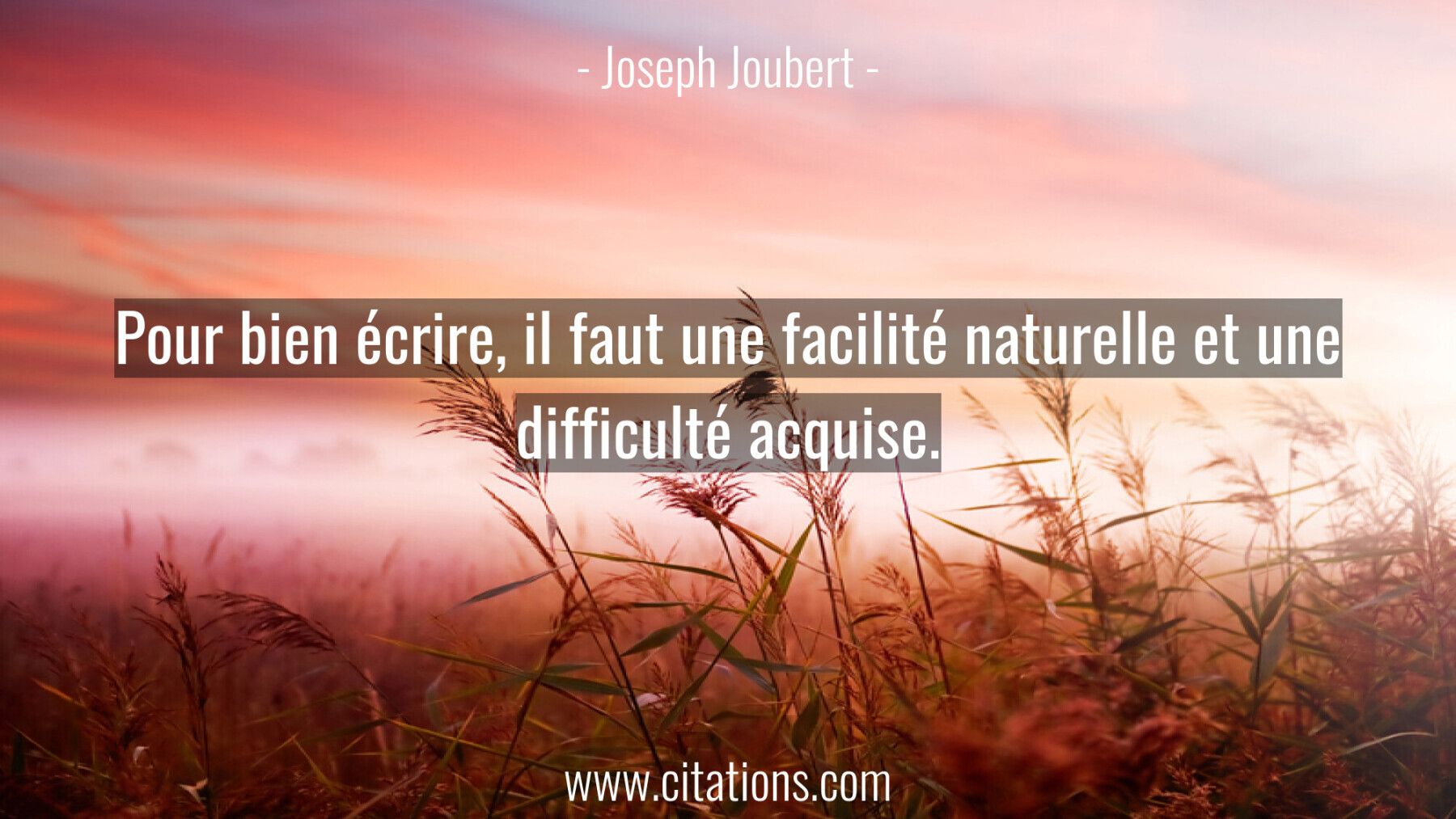 Pour bien écrire, il faut une facilité naturelle et une difficulté acquise.