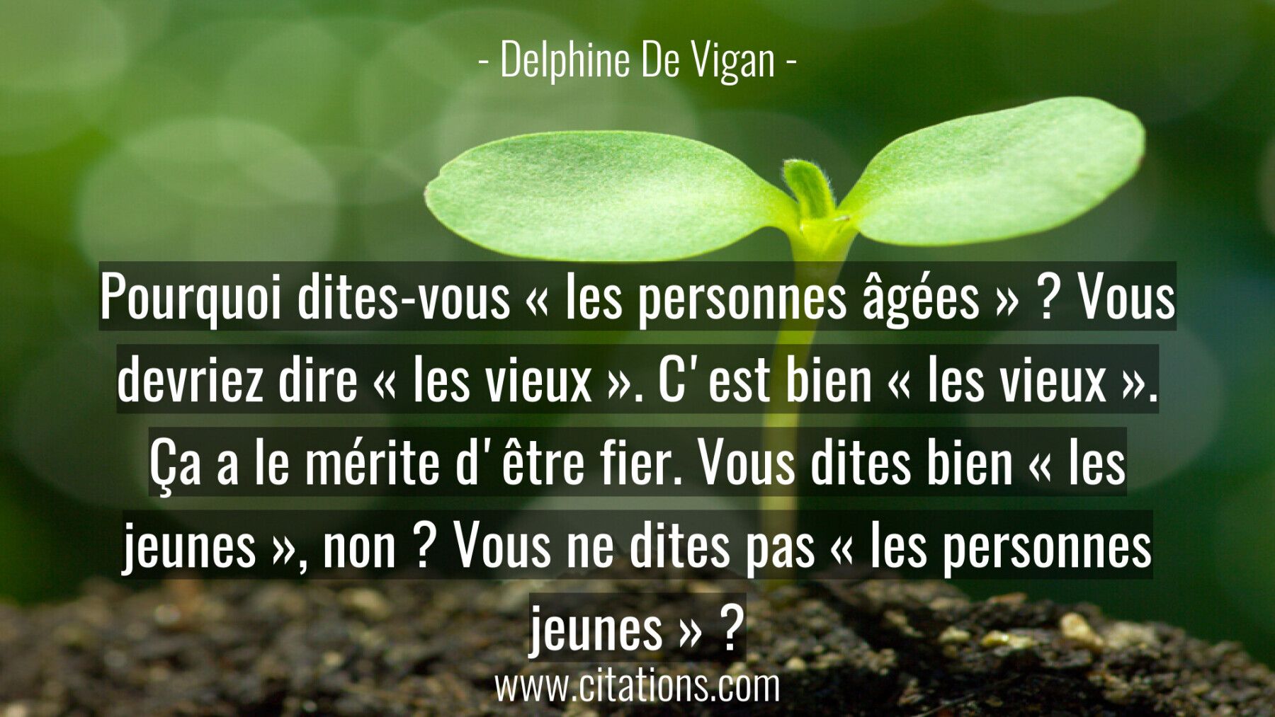 Pourquoi dites-vous « les personnes âgées » ? Vous devriez dire « les vieux ». C'est bien « les vieux ». Ça a le mérite...