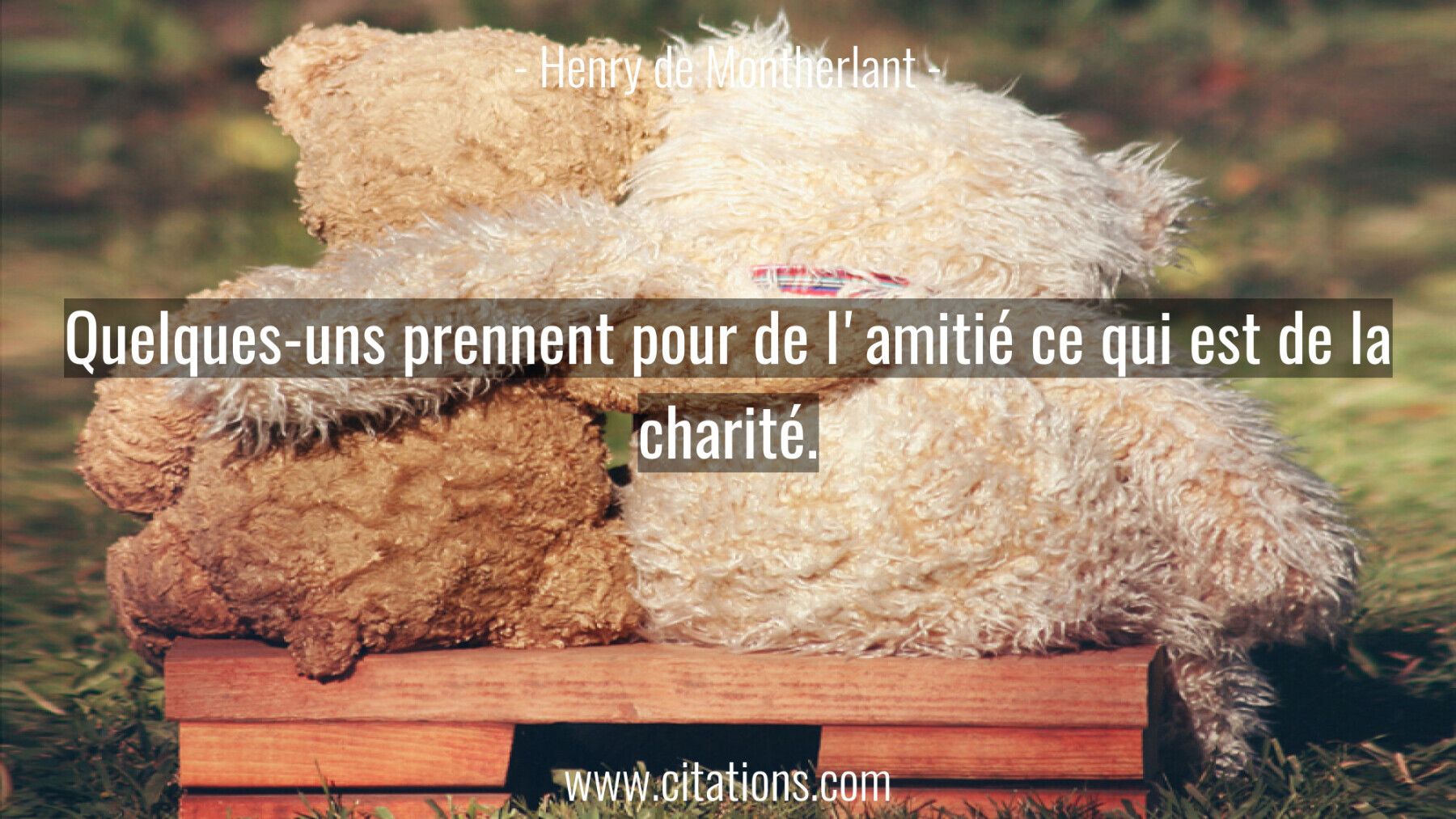 Quelques-uns prennent pour de l'amitié ce qui est de la charité.