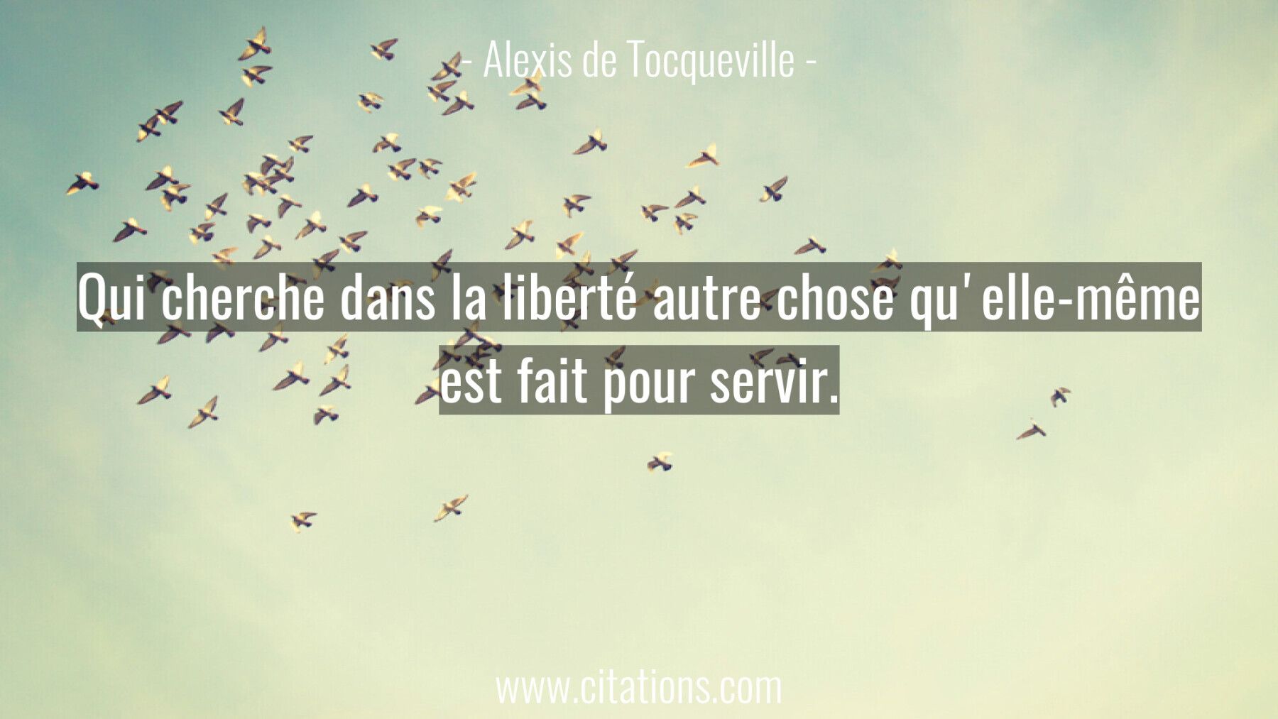 Qui cherche dans la liberté autre chose qu'elle-même est fait pour servir.