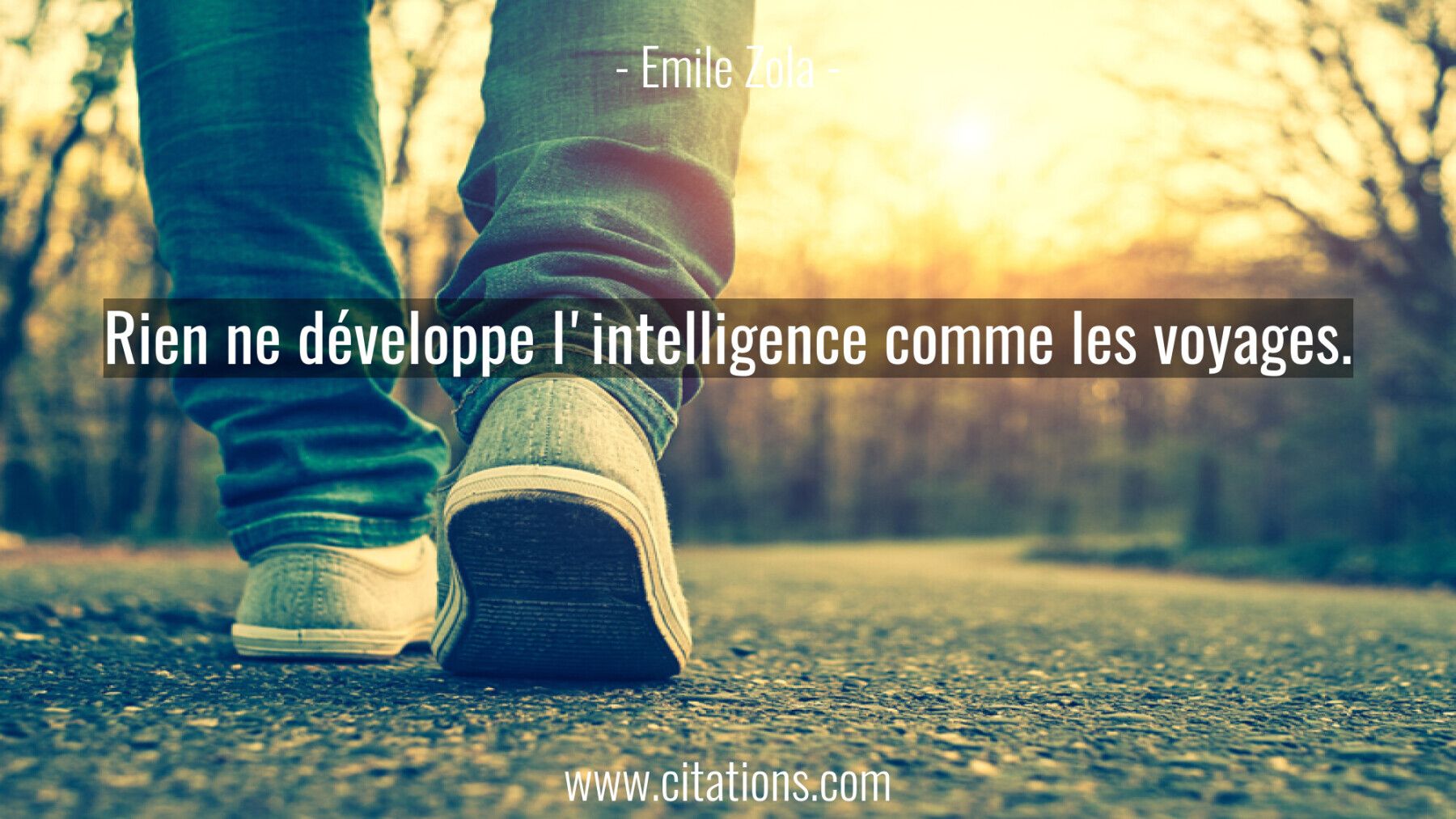 Rien ne développe l'intelligence comme les voyages.