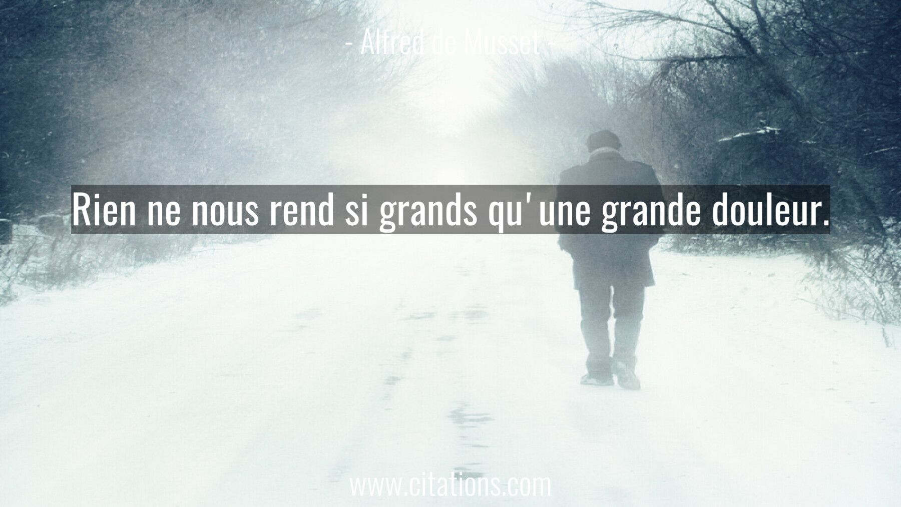 Rien ne nous rend si grands qu'une grande douleur.