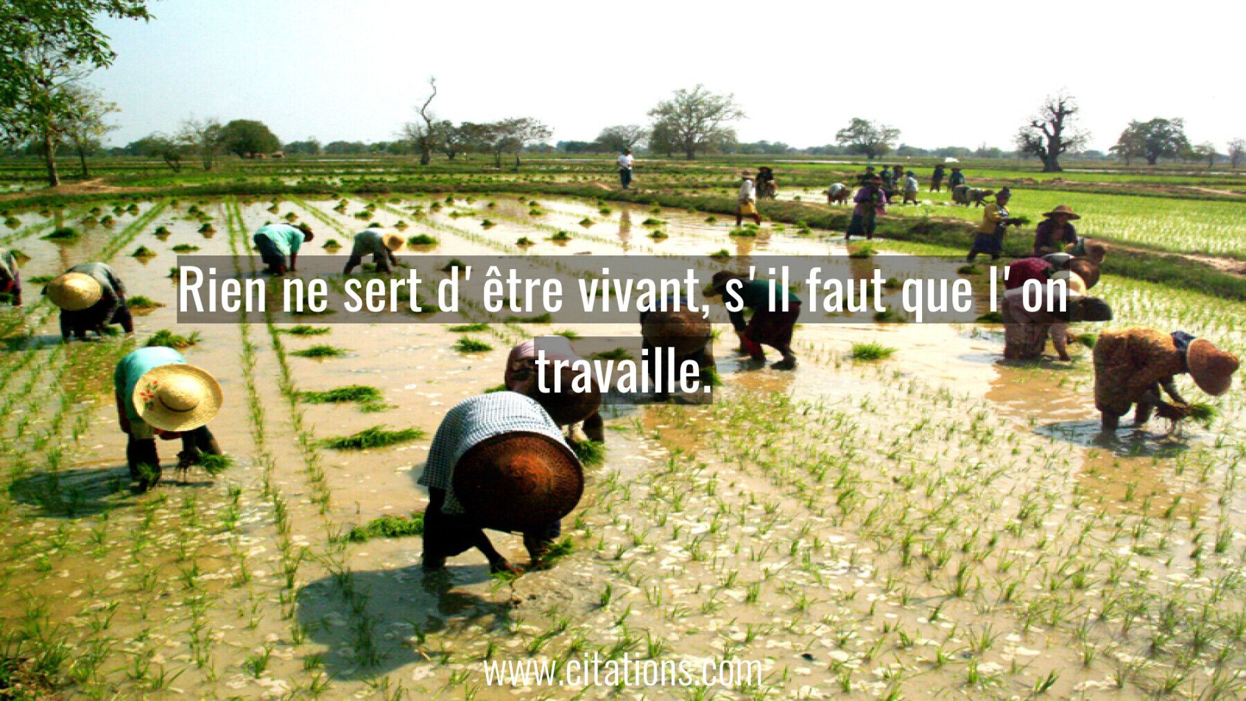 Rien ne sert d'être vivant, s'il faut que l'on travaille.
