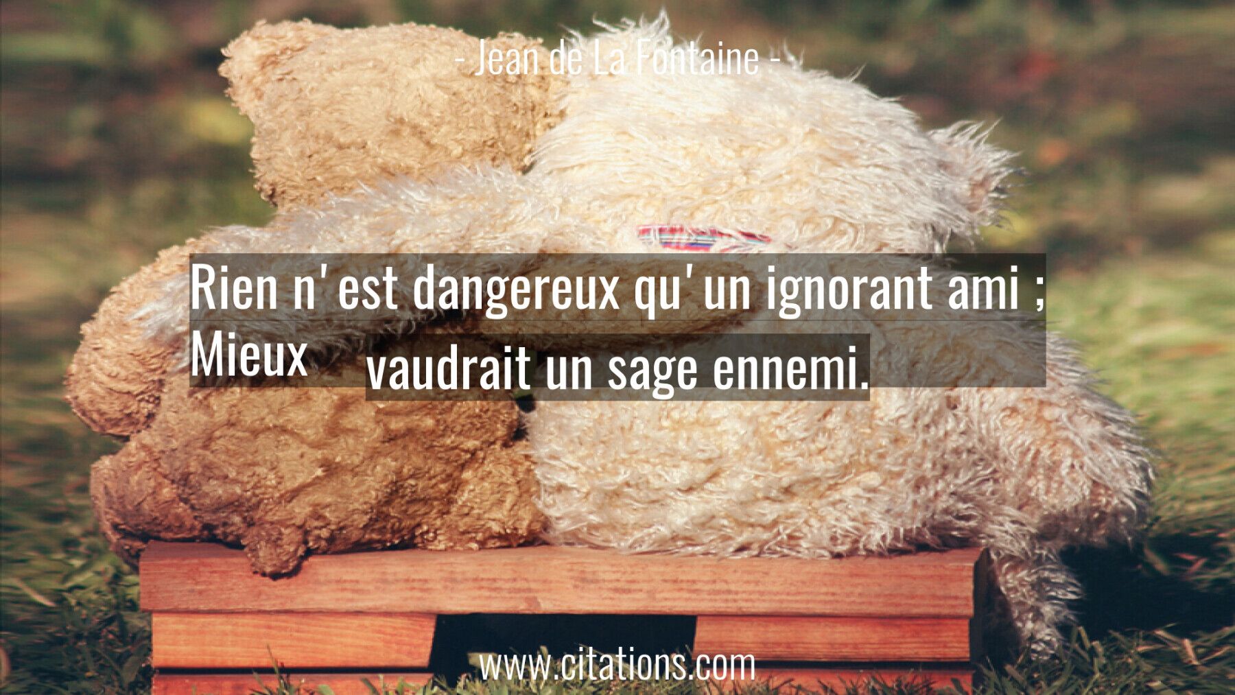 Rien n'est dangereux qu'un ignorant ami ; Mieux vaudrait un sage ennemi.